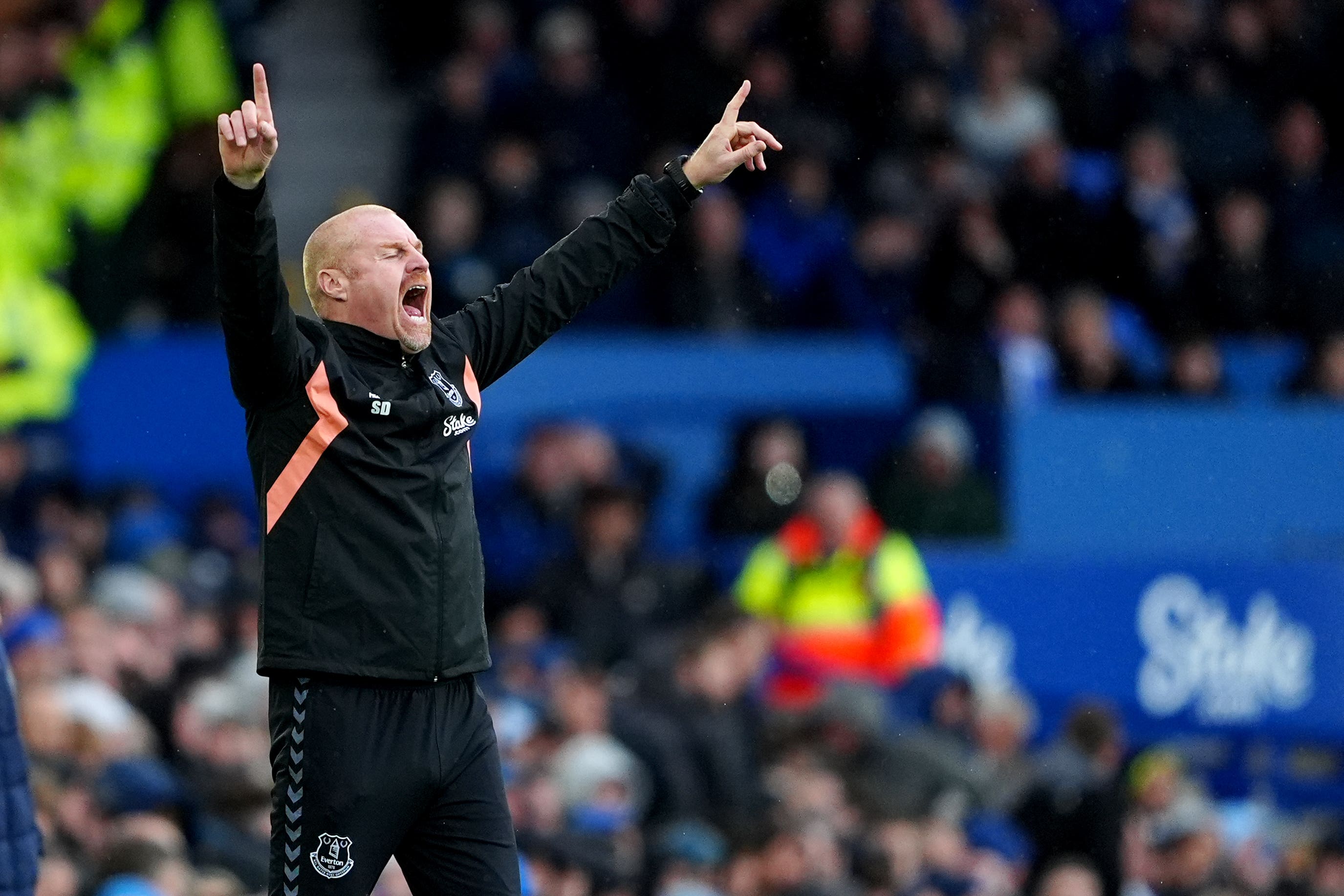 Everton manager Sean Dyche saw his side secure Premier League survival (Peter Byrne/PA).