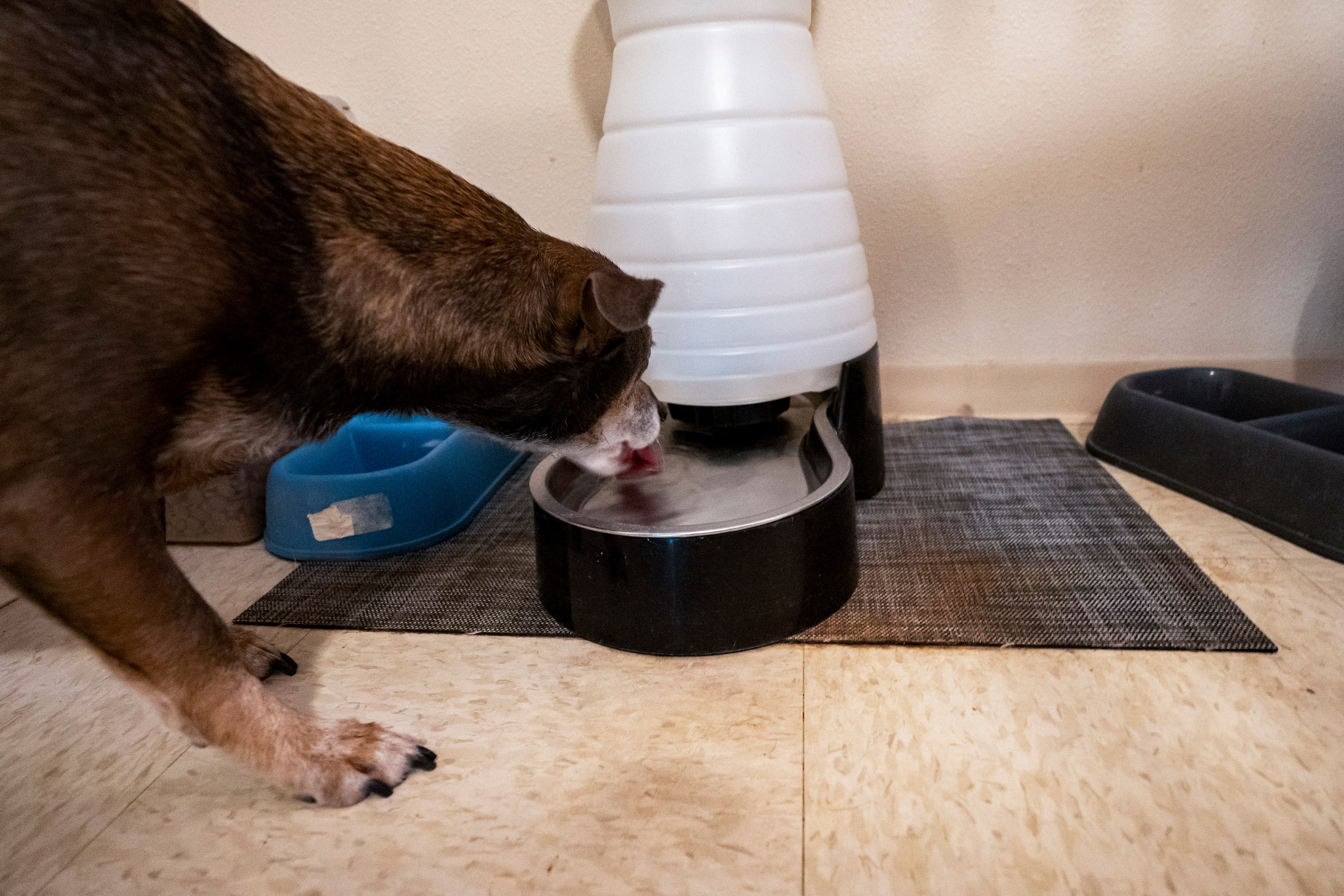 Hawaii Tainted Water Trial