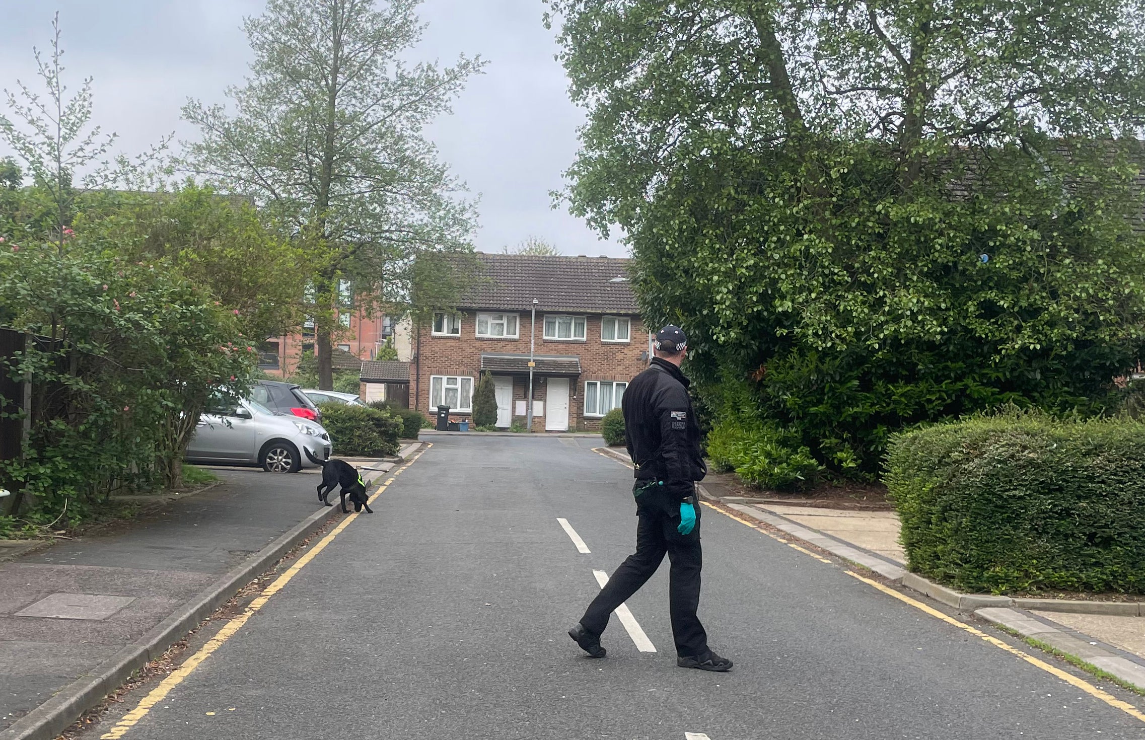 A police sniffer dog sweeps through the streets around the police cordon in Hainault