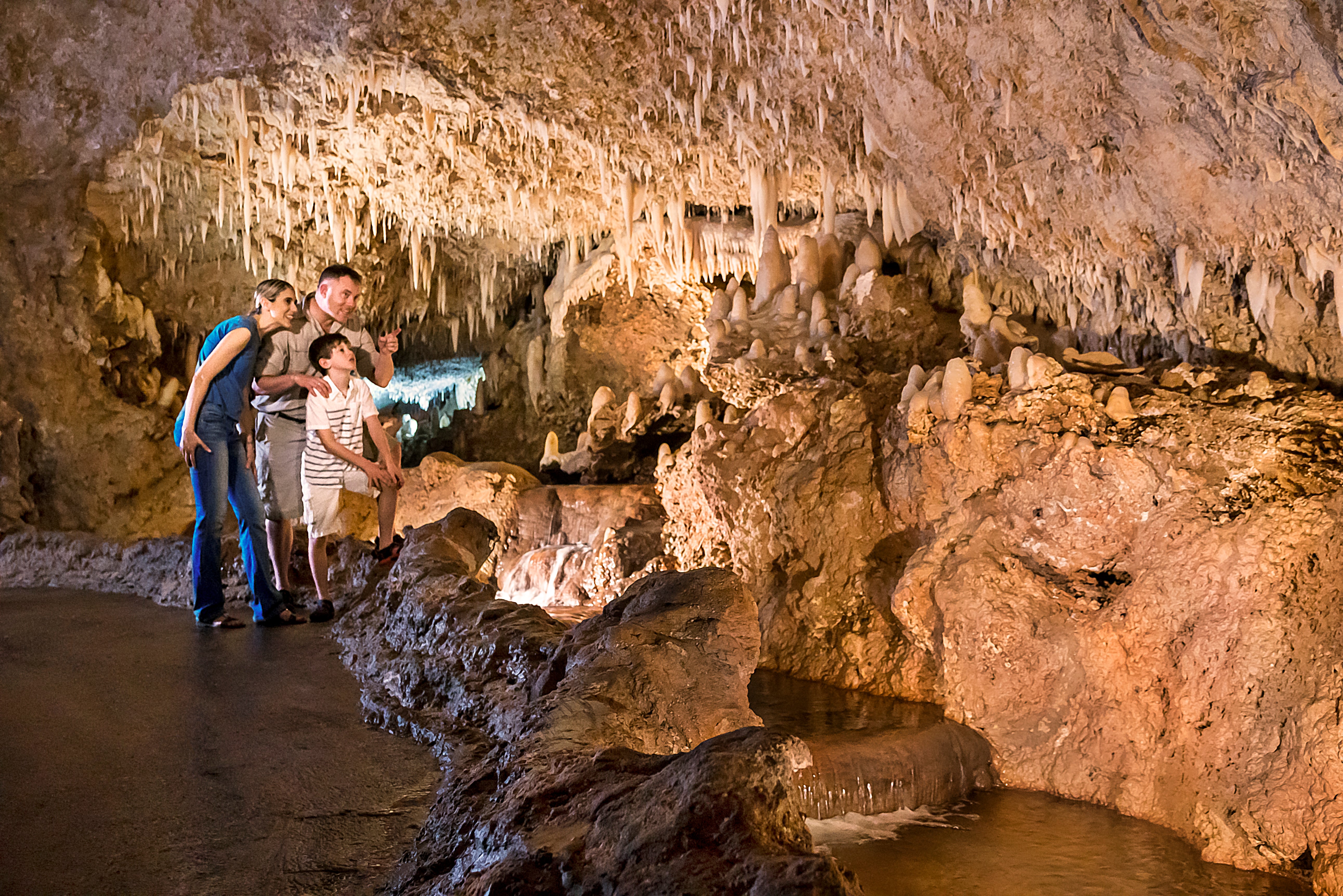 Enjoy a fascinating underground adventure in Harrison’s Cave