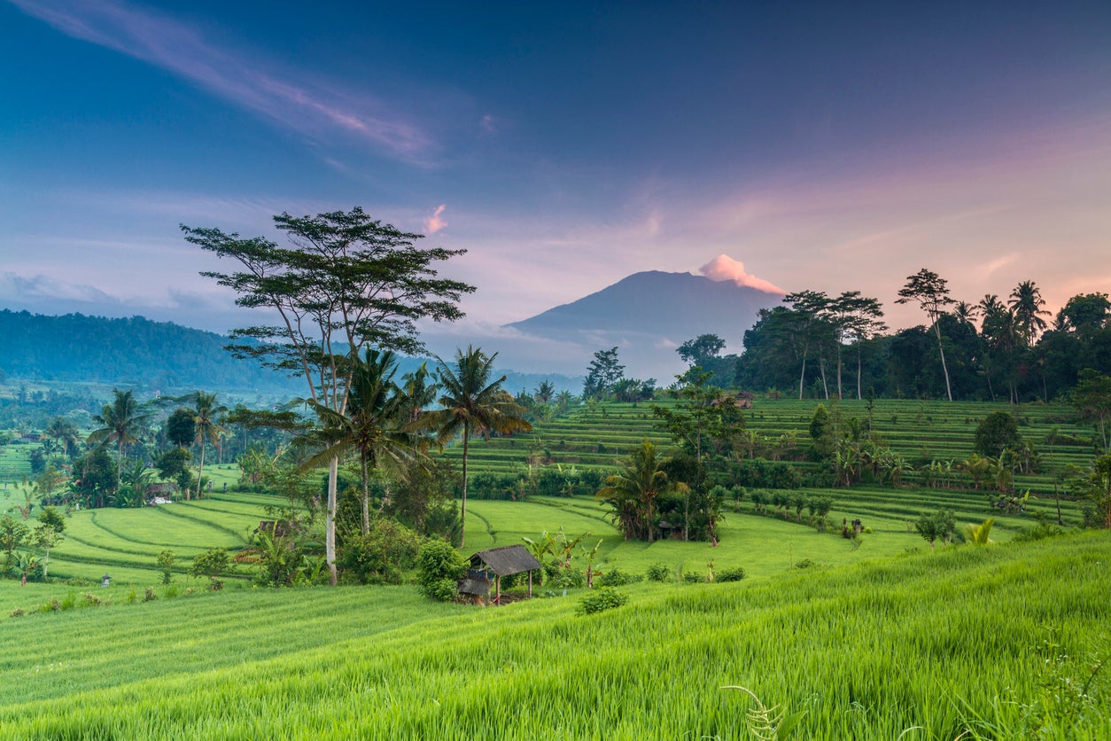 The island of Bali is among Indonesia’s most popular tourist destinations