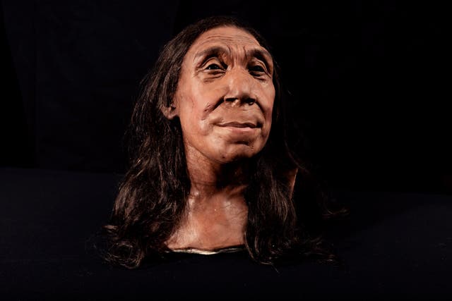 <p>A recreation of a Neanderthal woman in her 40s, dubbed Shanidar Z</p>