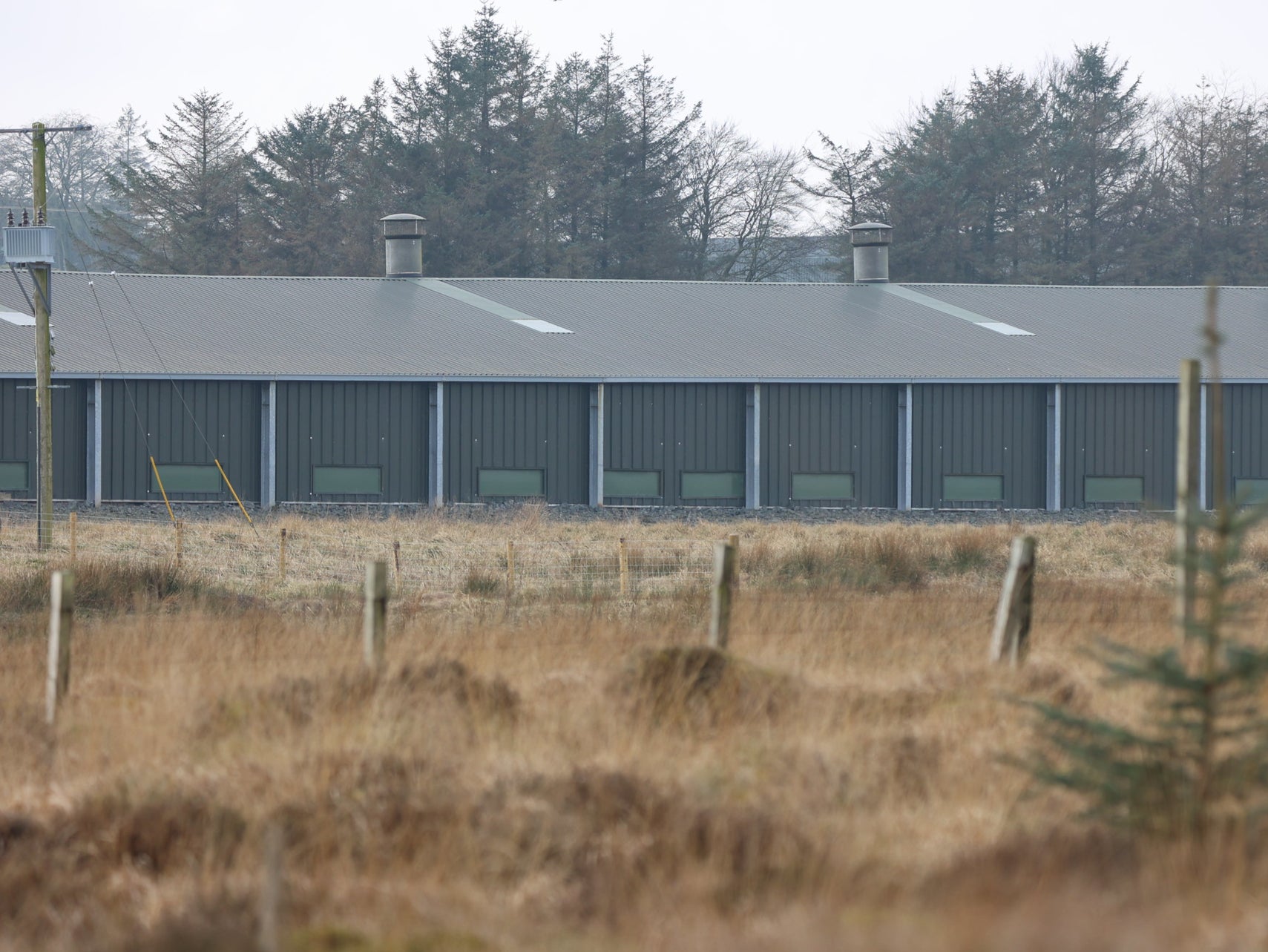 Hens were not seen being let outdoors for four days in a row, it was claimed