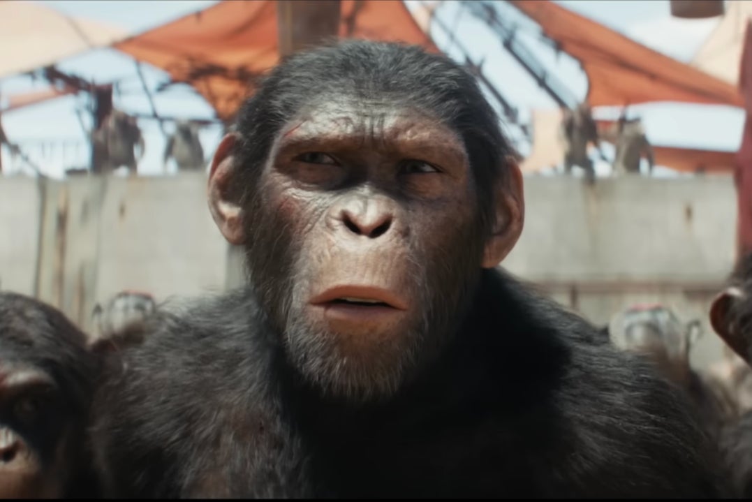 Kingdom of the Planet of the Apes