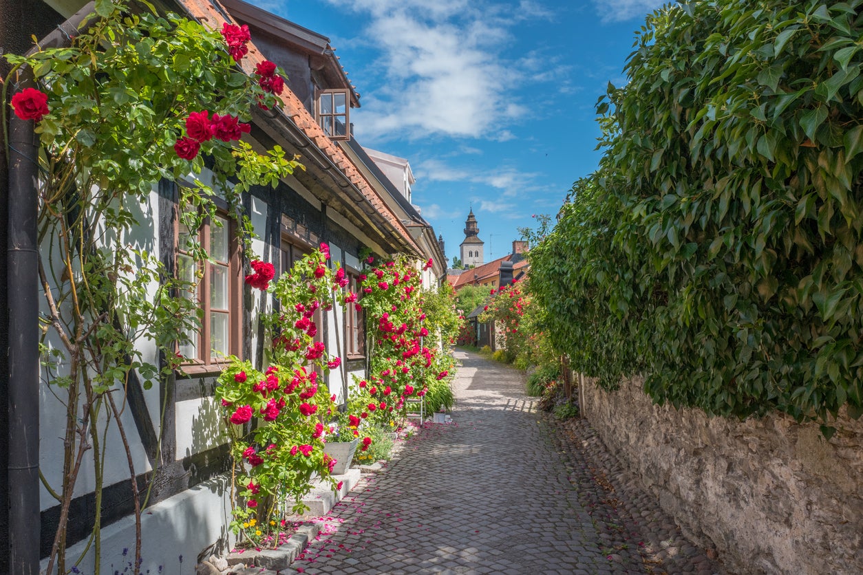 Idle away the days on Sweden’s Gotland island