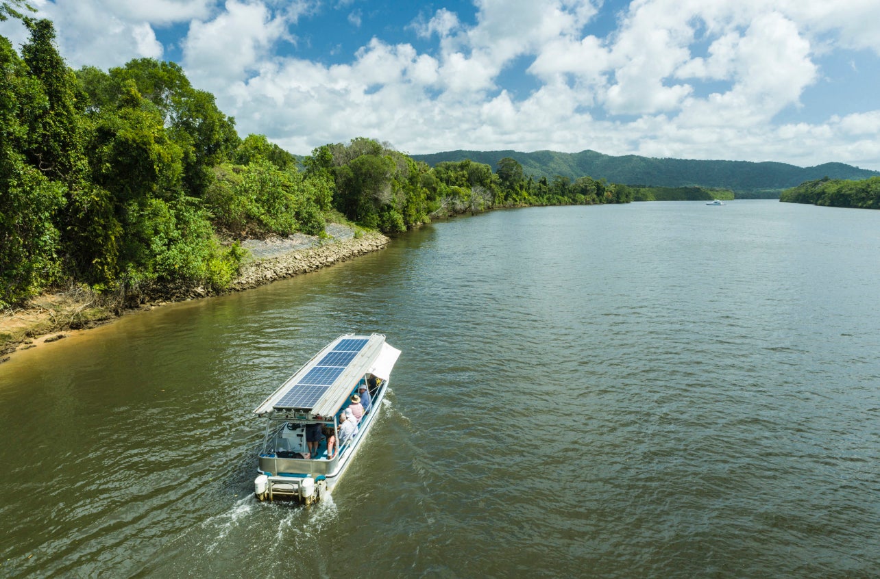 North Queensland is home to otherworldly rainforests