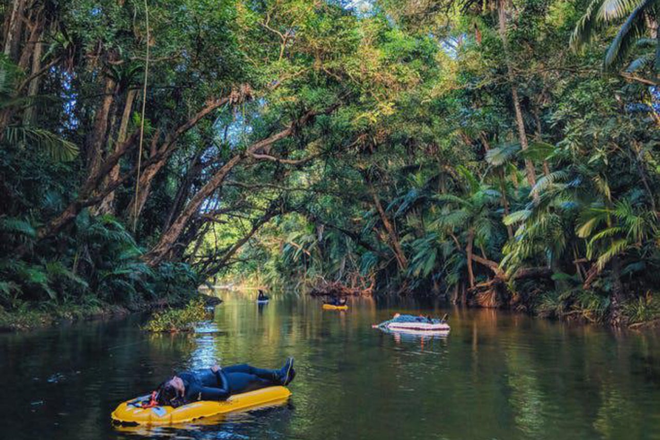 The Daintree River is home to a huge crocodile known as Scarface