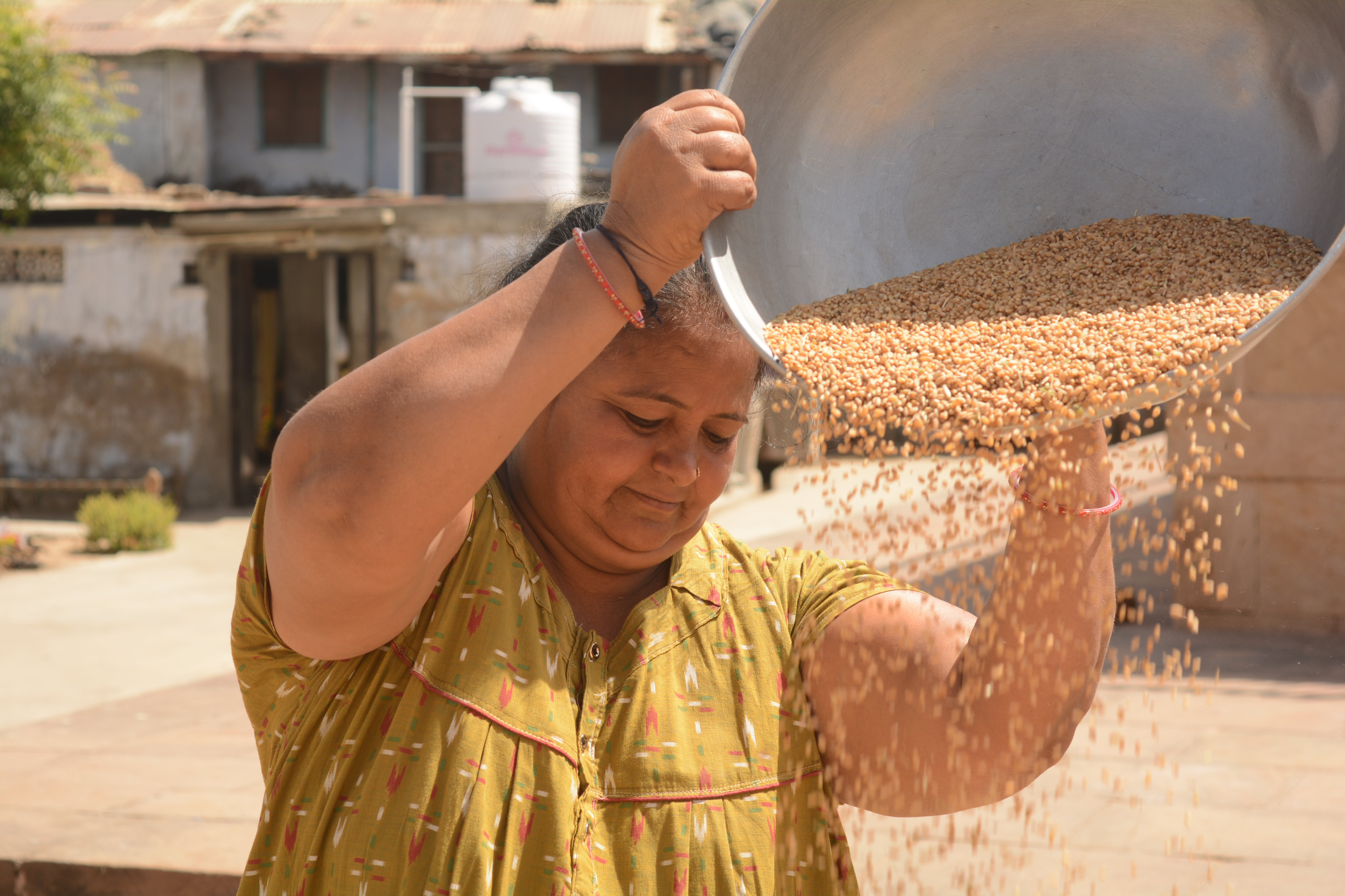 Alpaben Patel, segregating grains to feed her cows, says Modi ‘is the pride of our village’