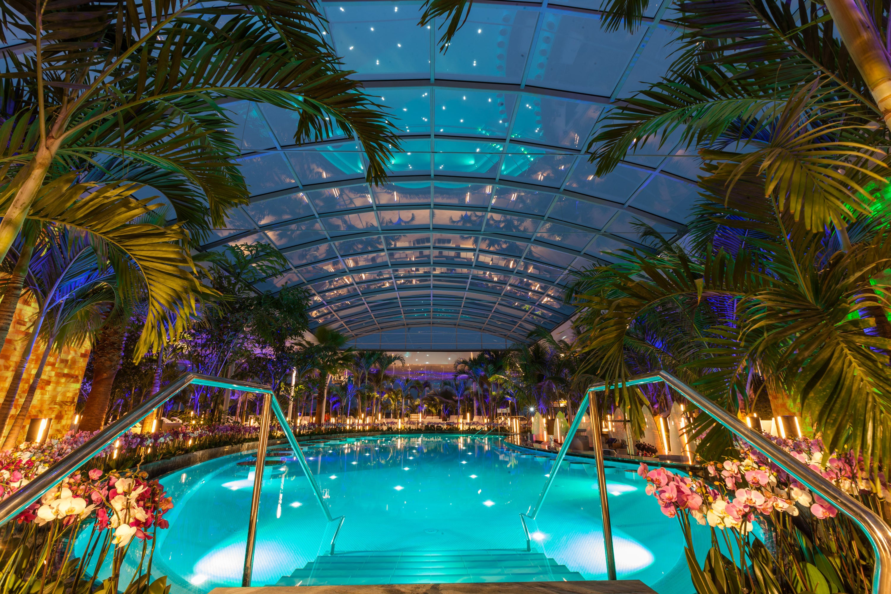 Therme Bucharest even features an indoor botanical garden