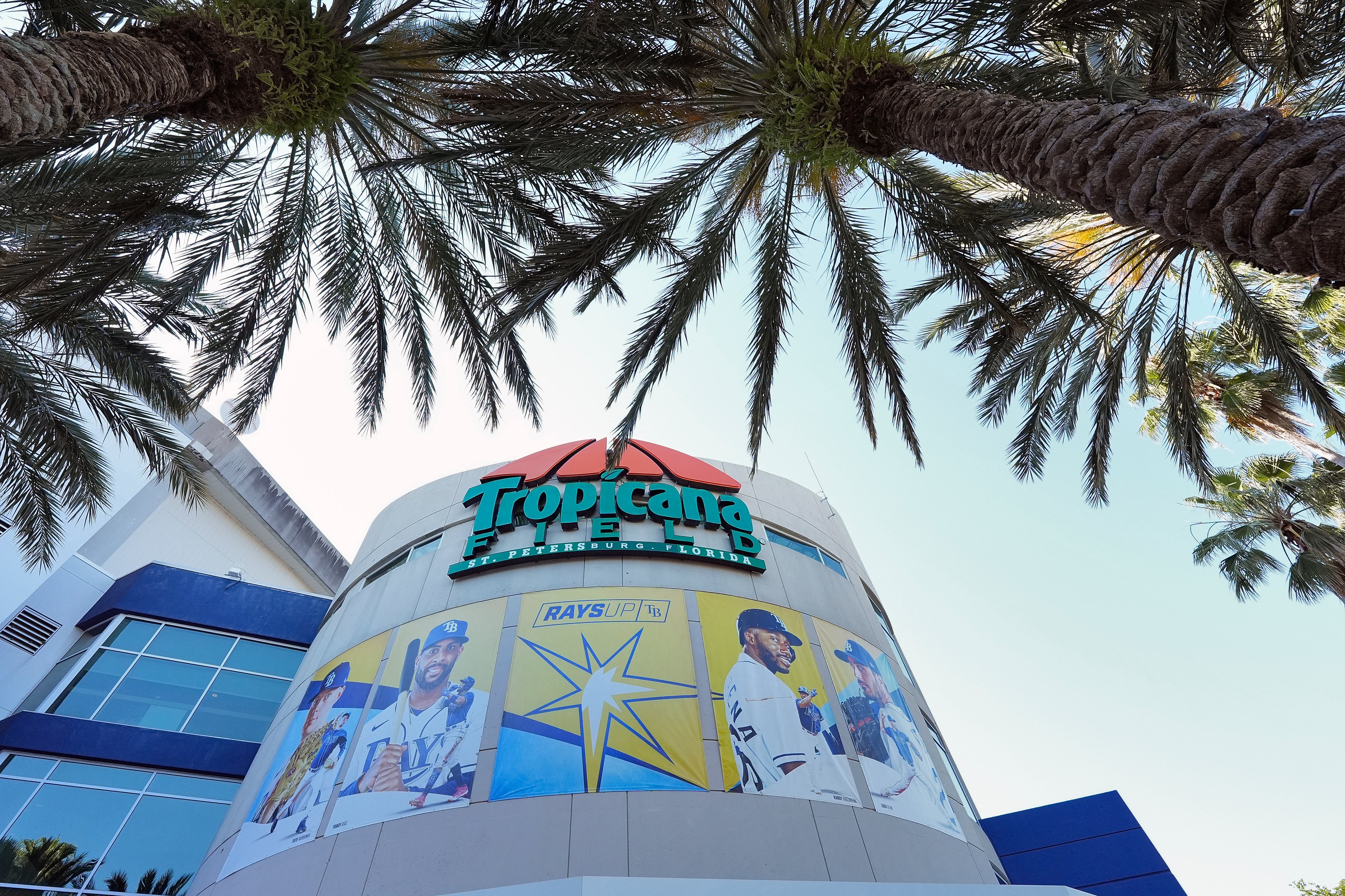 Rays Ballpark Baseball