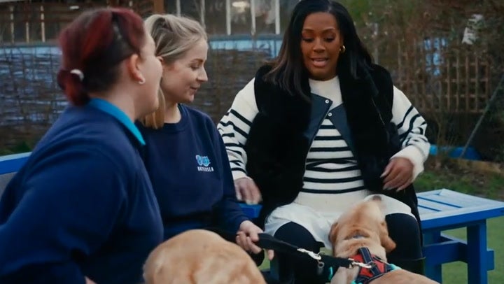 Alison Hammond compared a ‘slobbery’ Labrador to Paul Hollywood on For the Love of Dogs.