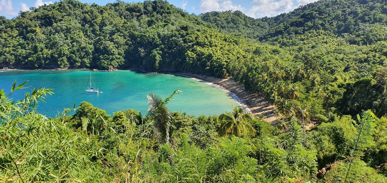 Explore the rainforests of Tobago up close and personal on a walking tour