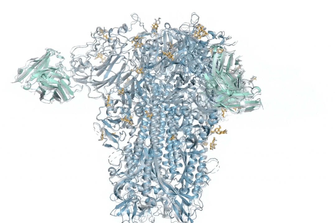 A DeepMind model of a 3D molecular structure from a common cold virus (Google DeepMind)