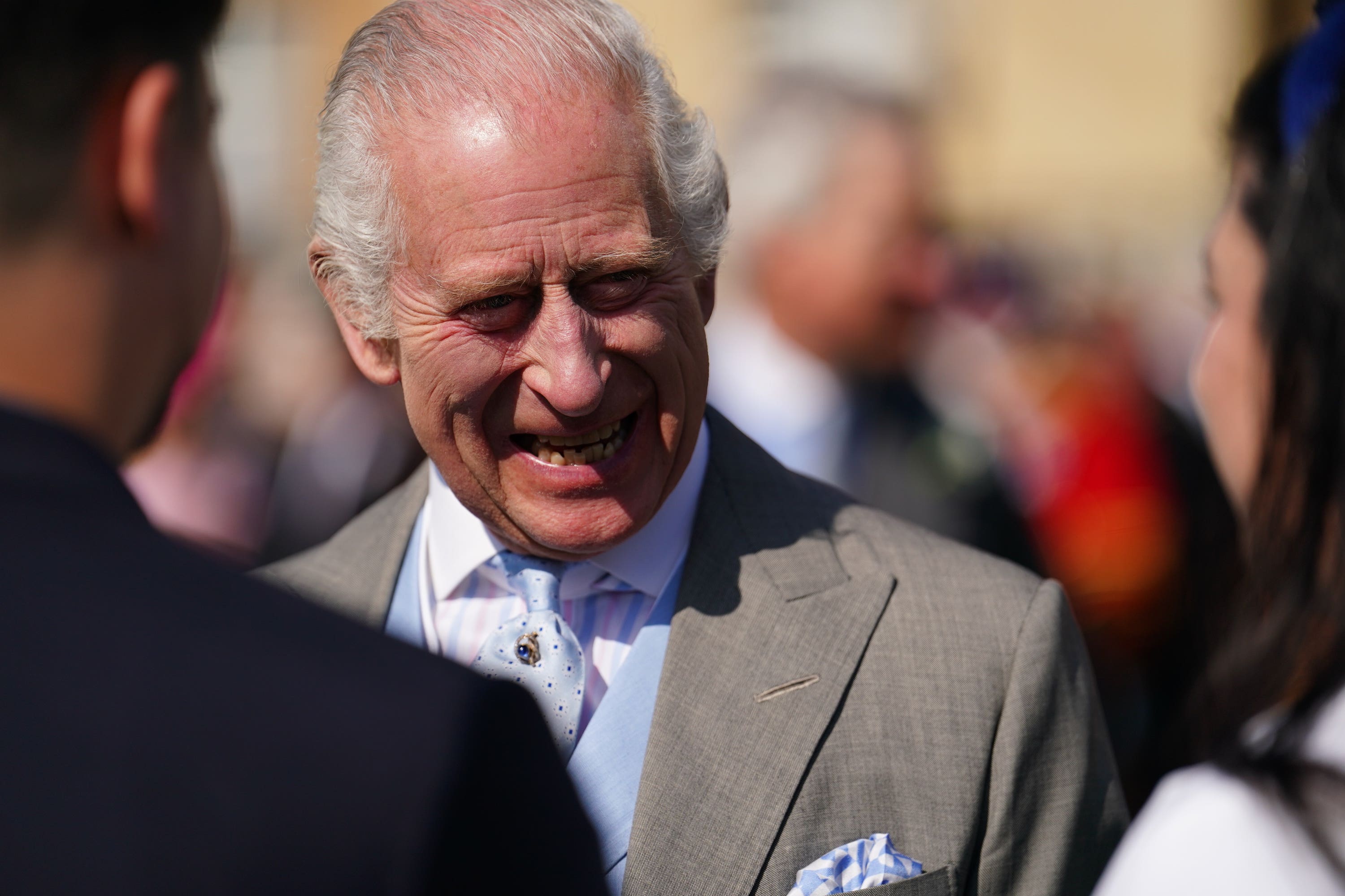 The King hosted a garden party at Buckingham Palace (Jordan Pettitt/PA)