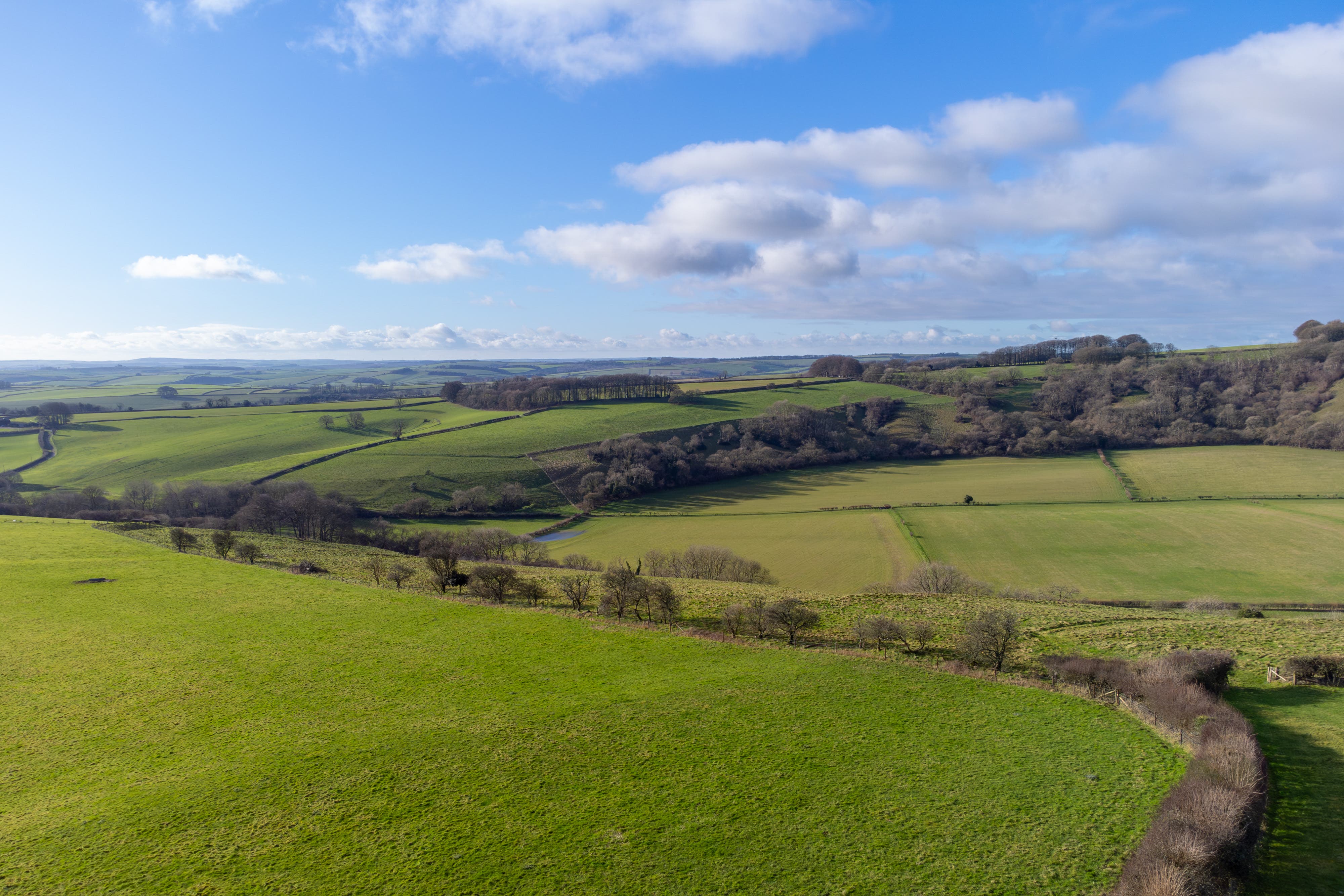 Lyscombe farm has been purchased by Natural England and the Dorset Wildlife Trust (James Burland/PA)