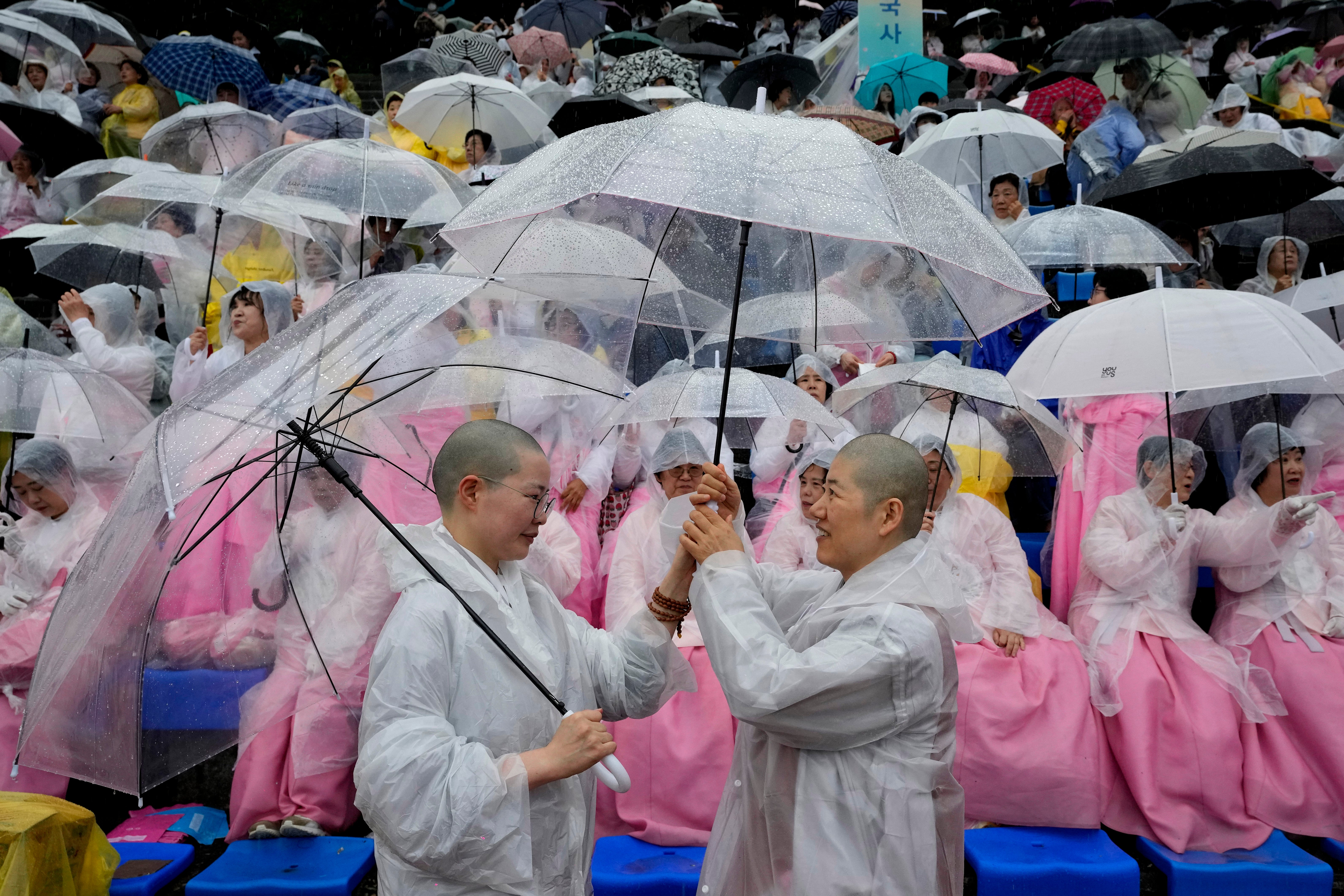 South Korea Lotus Lantern Festival