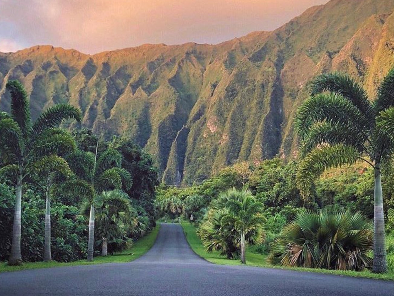 Hoomaluhia Botanical Garden