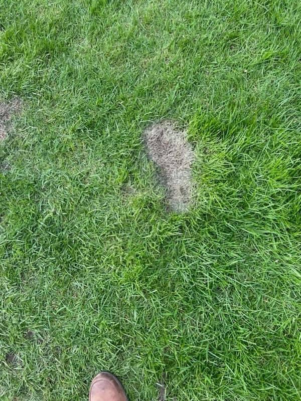 The powerful shock sent Jason flying seven feet across the lawn in April this year, leaving scorched footprints in the grass