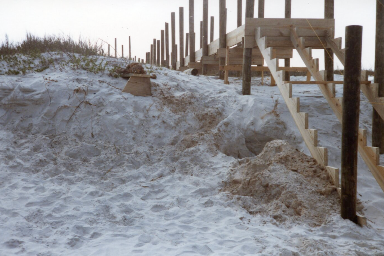 Skeletal remains found in a shallow grave by construction workers on Crescent Beach, Florida in 1985 were positively identified as Mary Pultz