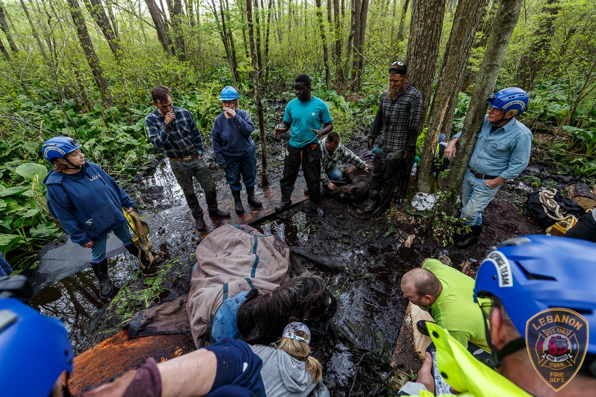 One of the horses stuck deep in the mud as the team prepare to extract the animal