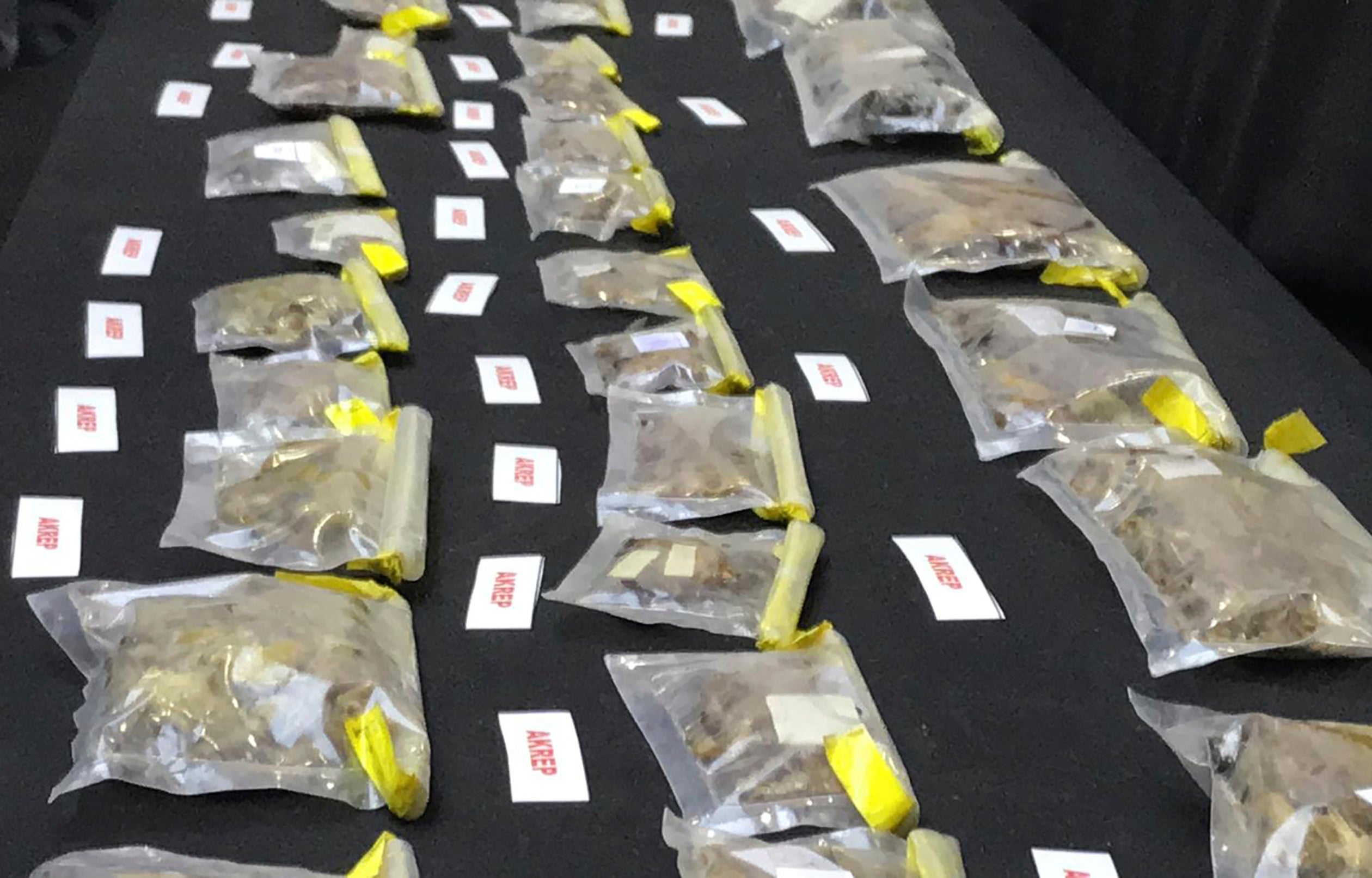 Turkey Spider Smuggling