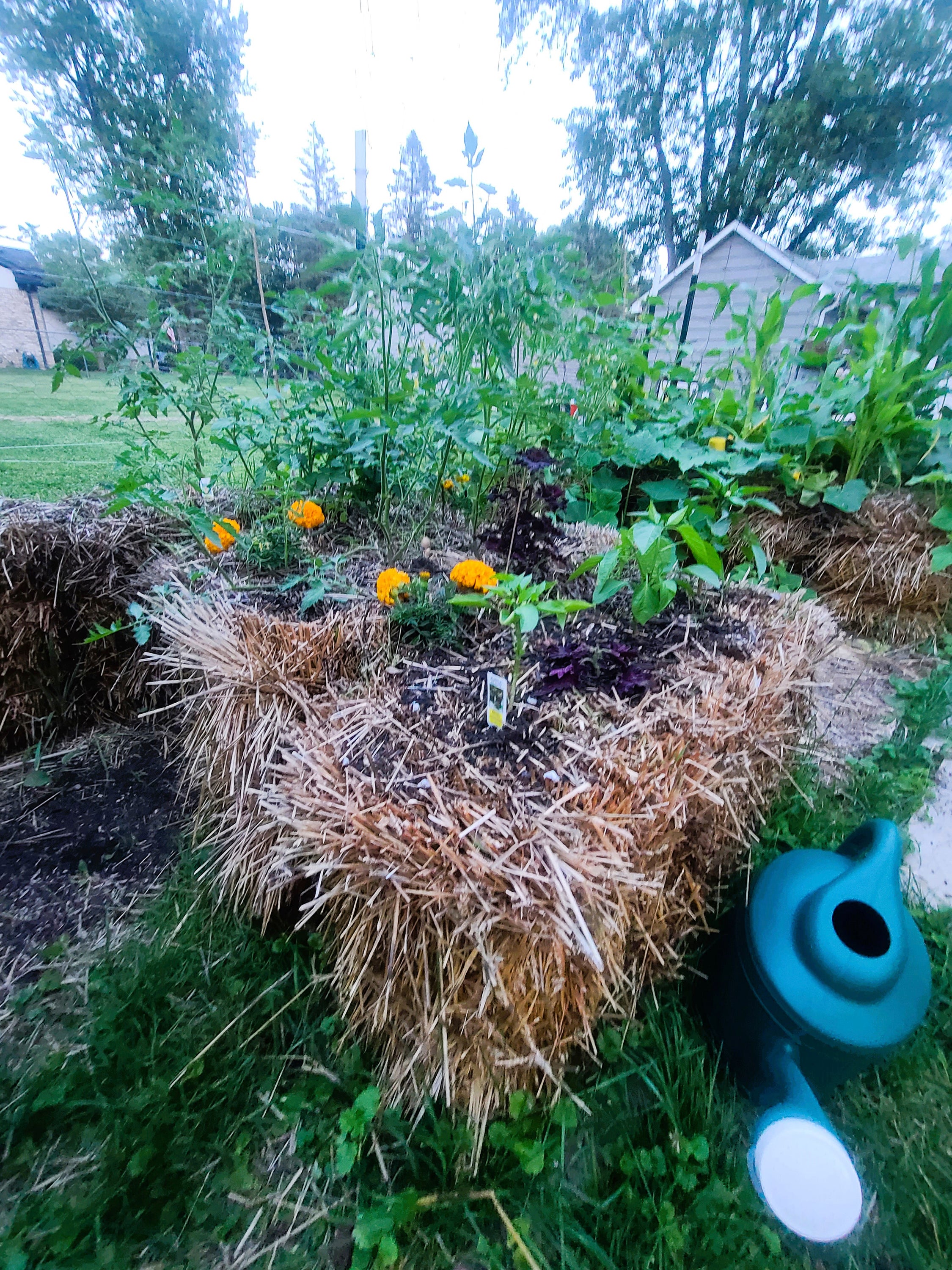 Gardening-Straw Bales