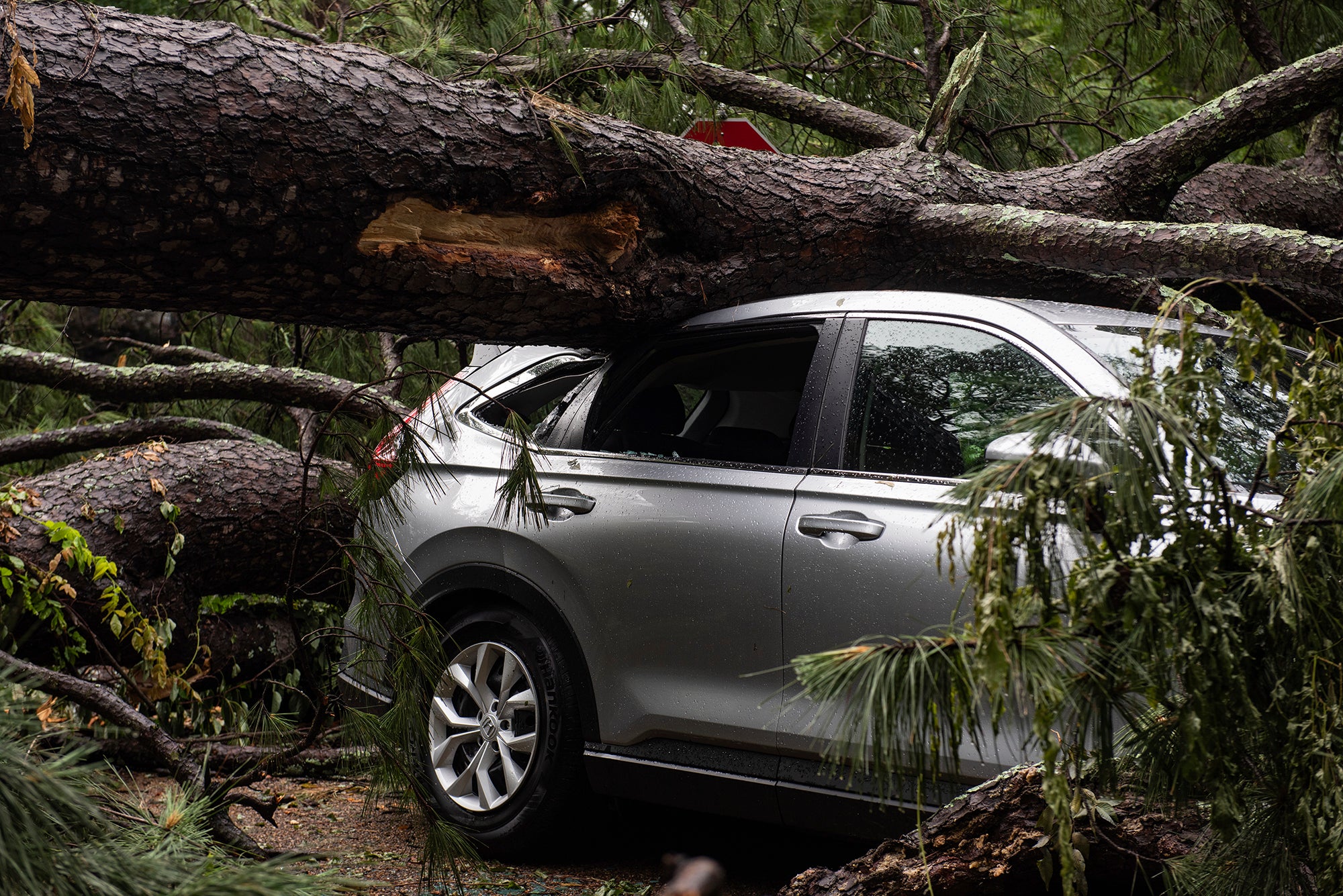 Severe Weather Mississippi