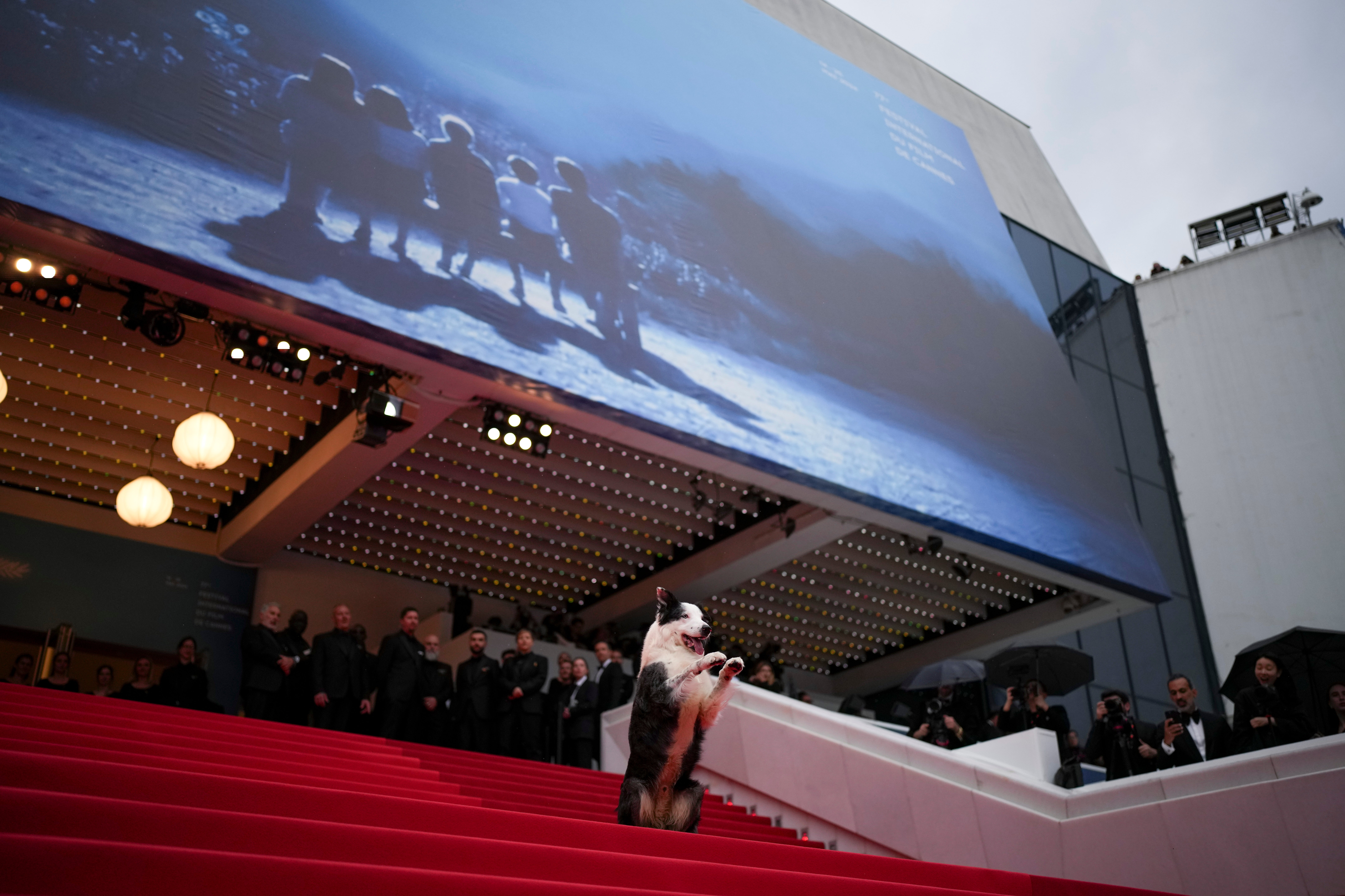 France Cannes 2024 Awards Ceremony Red Carpet