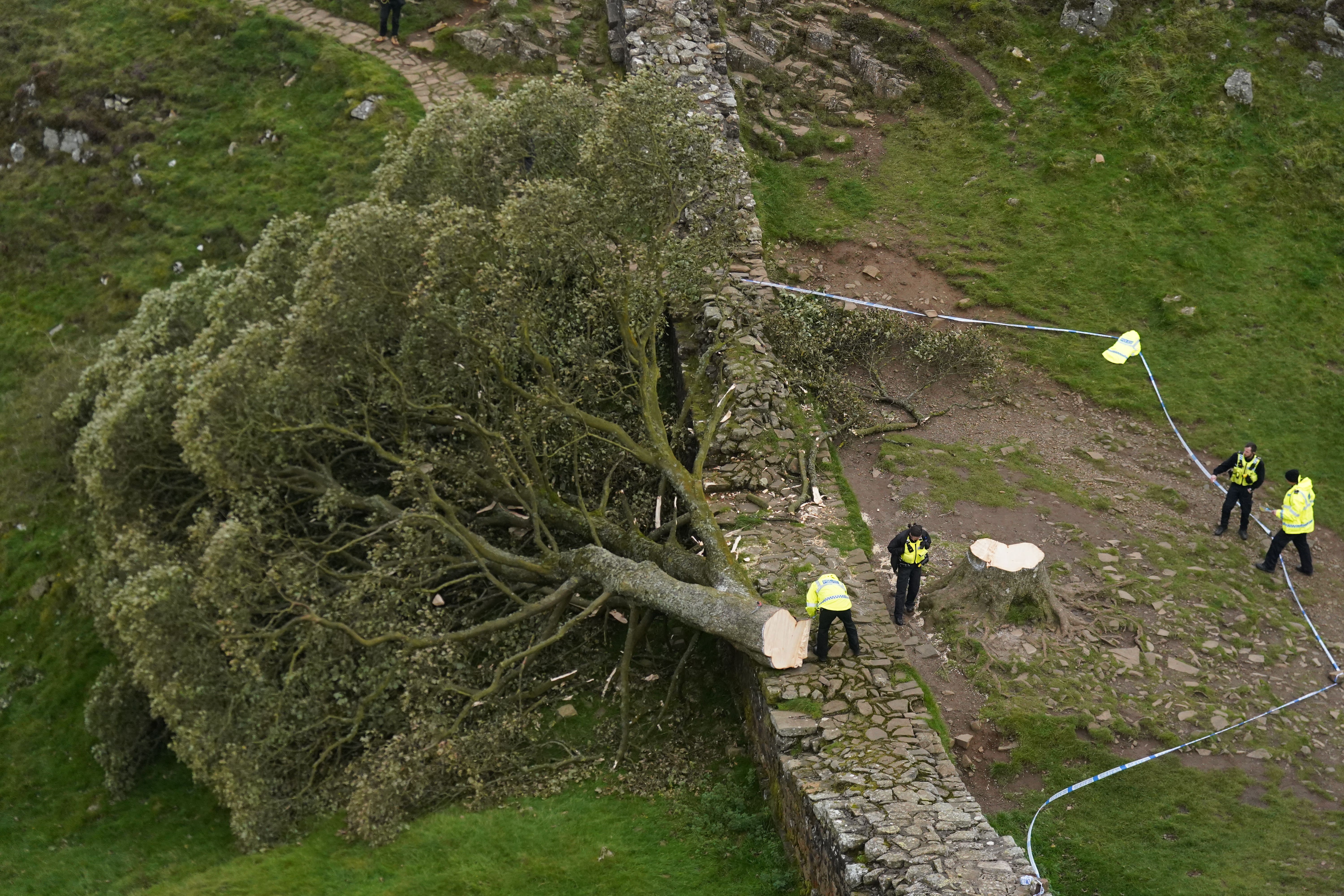 Police officers look at the tree at Sycamore Gap (Owen Humphreys/PA)