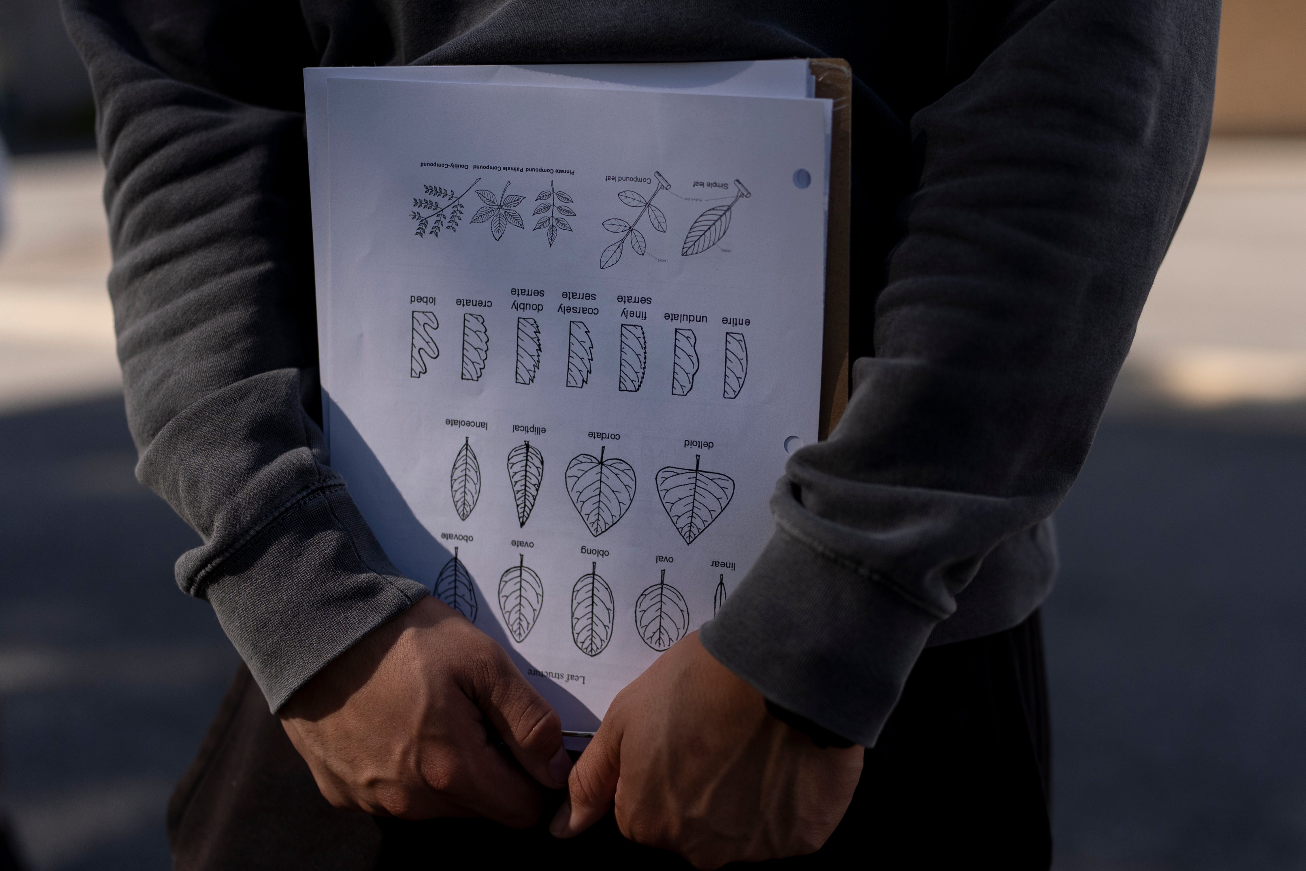 Climate Education Community Colleges