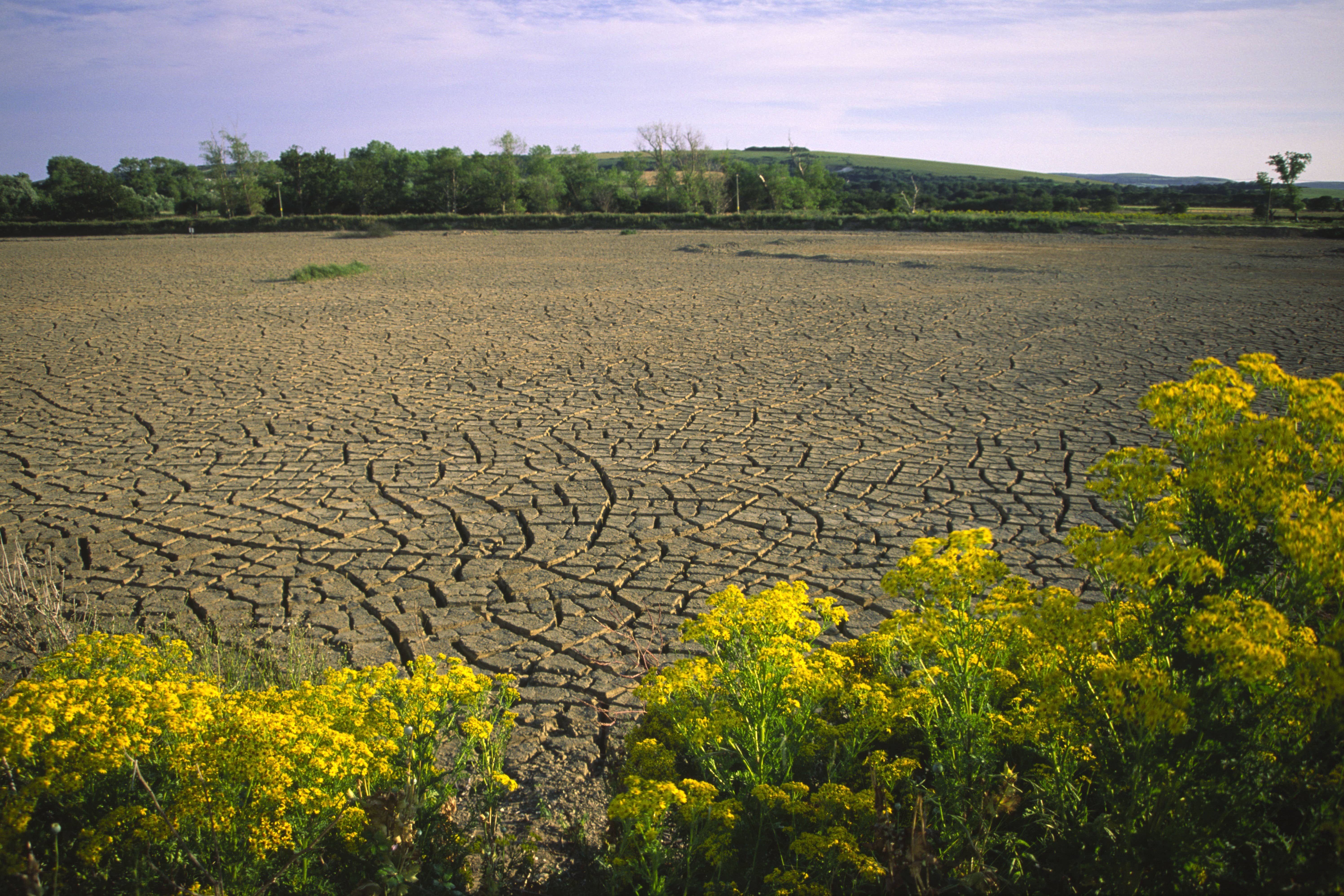 Researchers warn climate change is likely to aggravate brain conditions (Alamy/PA)