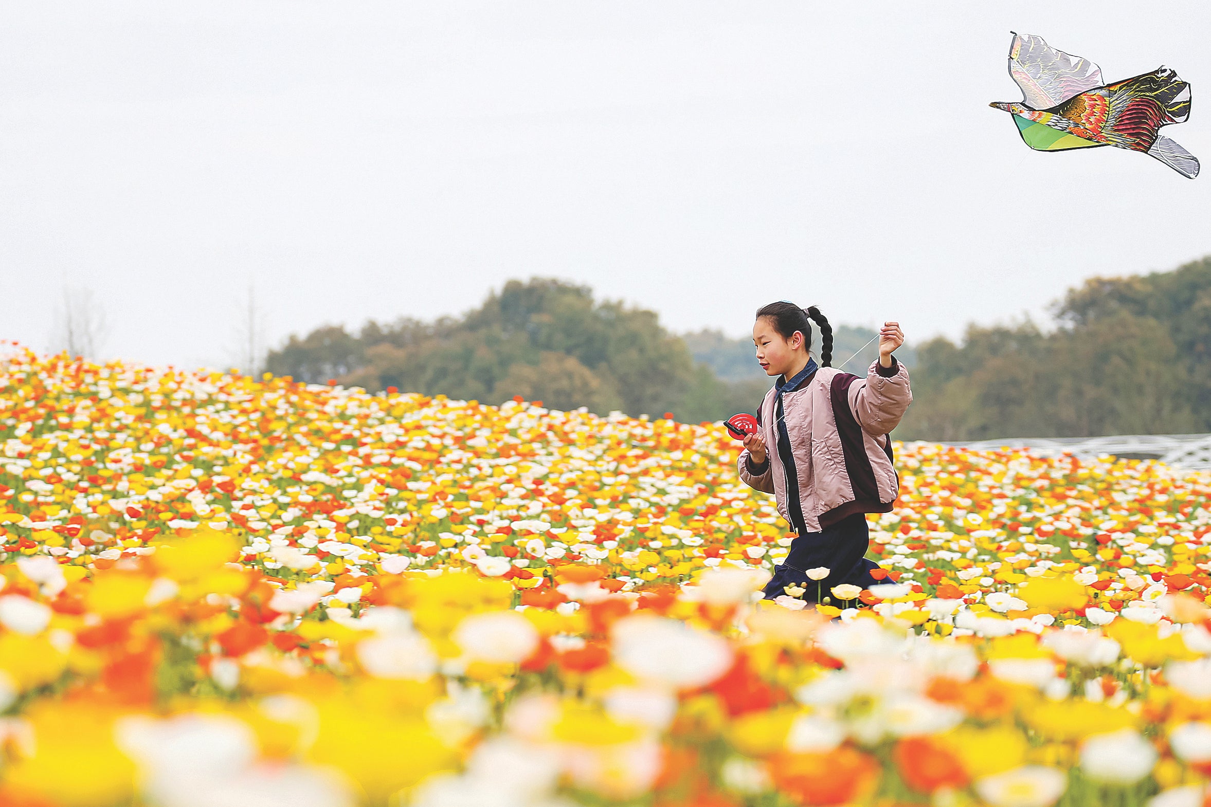 A girl flies a kite in Zhenjiang, Jiangsu province on 6 April