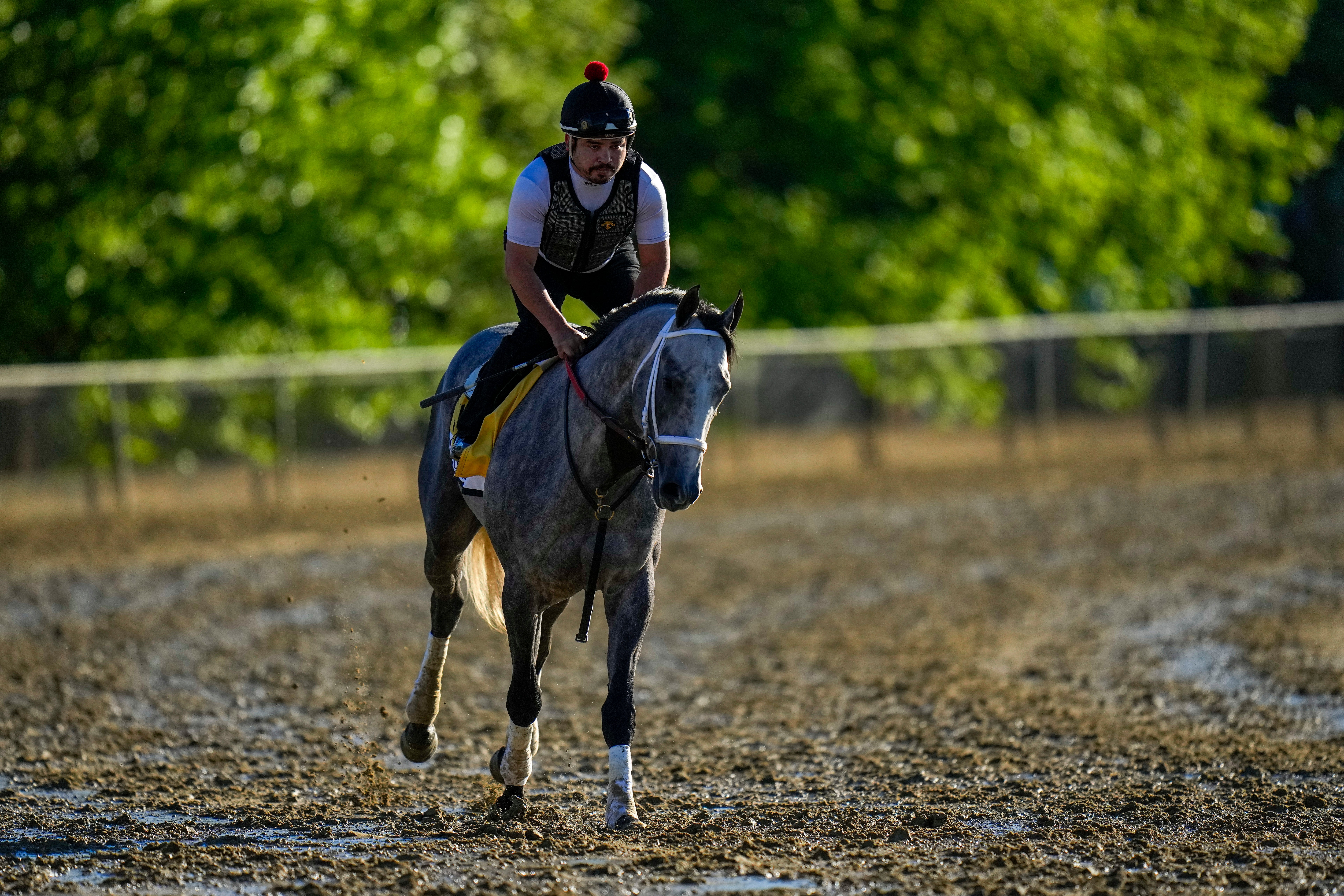 Preakness Horse Racing