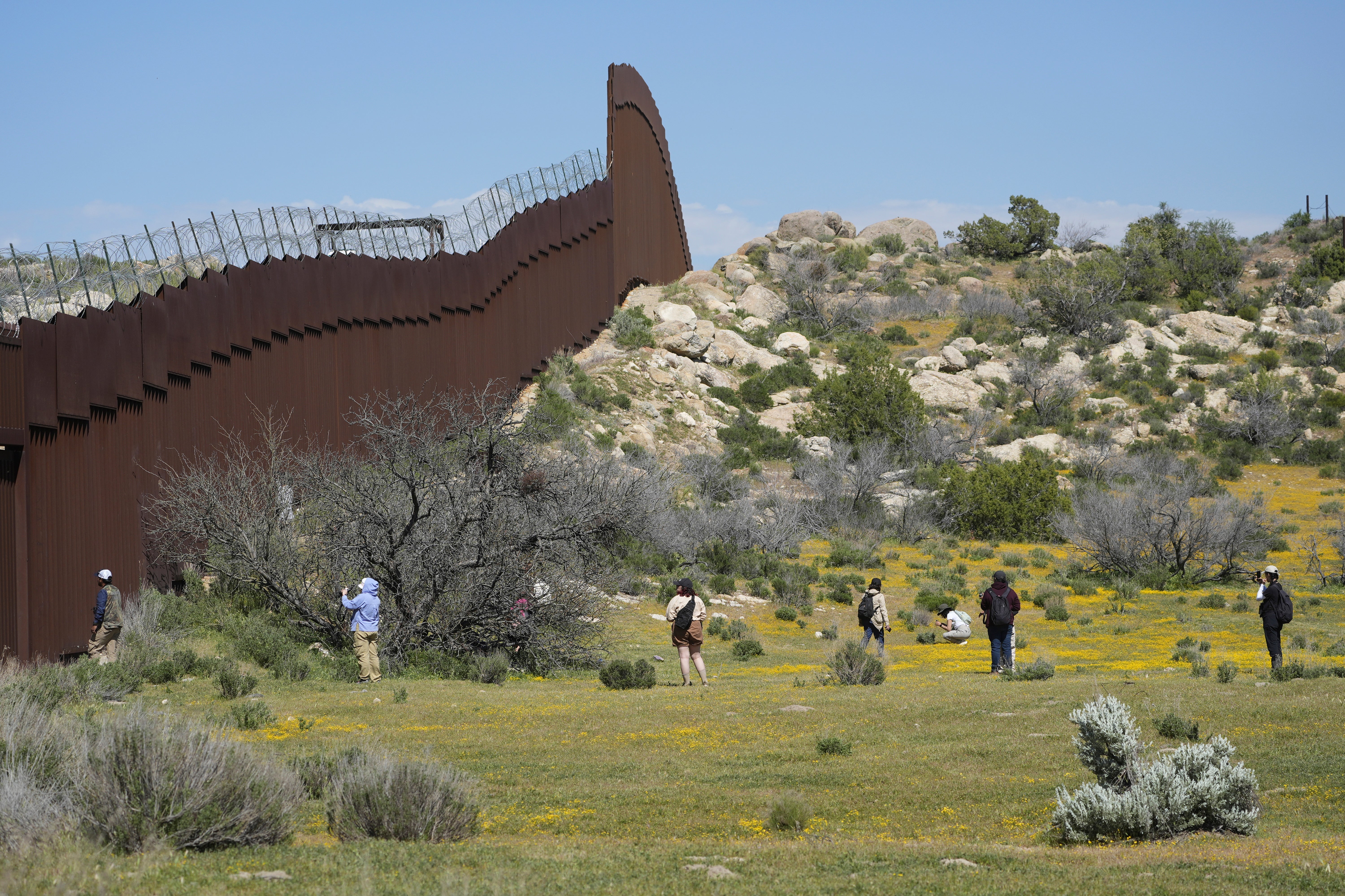 Botanists and citizen scientists armed with the iNaturalist app on their smartphones record the biodiversity along the border