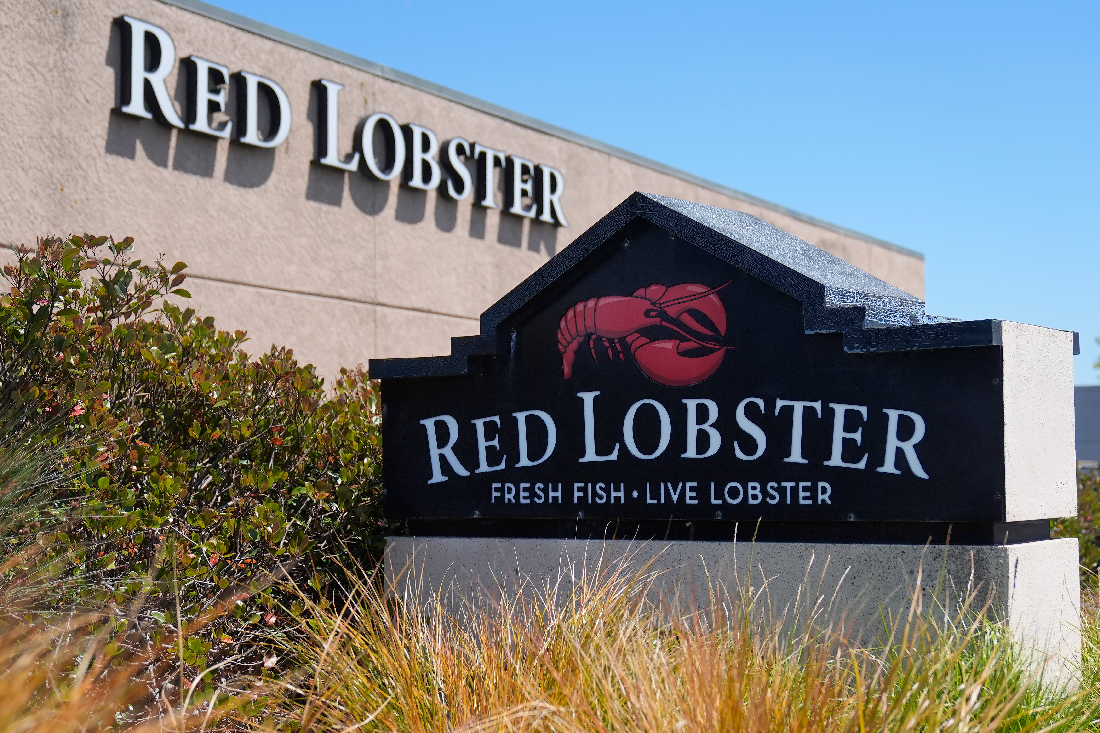 Signs for a Red Lobster restaurant in San Bruno, California in May 2024. Red Lobster declared bankruptcy that month, and announced that more than 100 locations would close. On August 26, it announced another 23 stores would close by the end of the month