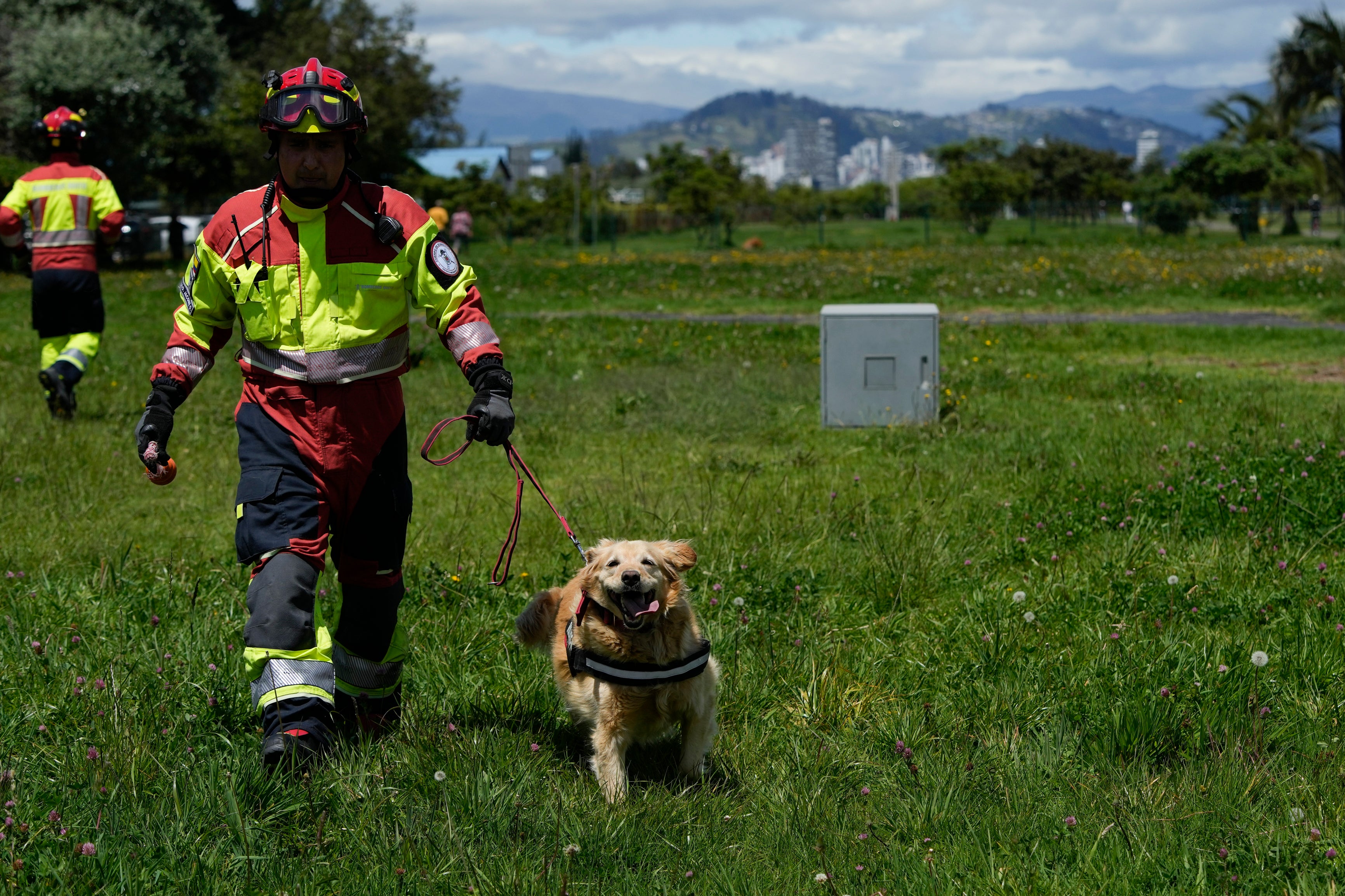 Ecuador Firefighter Dogs