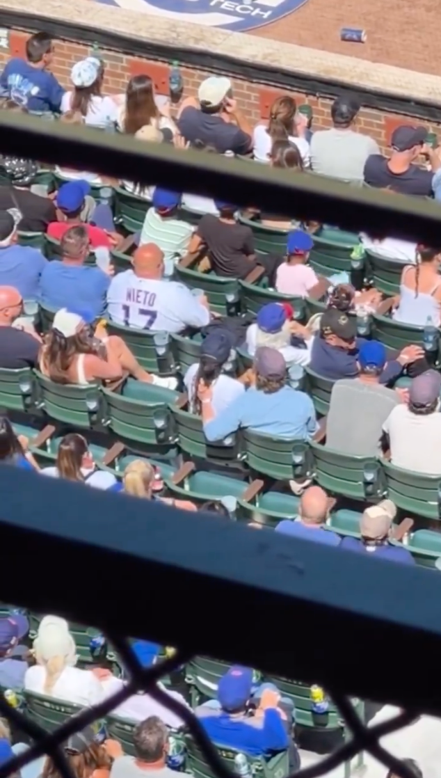 Fan captures Ayo Edebiri and Jeremy Allen White sitting close at baseball game