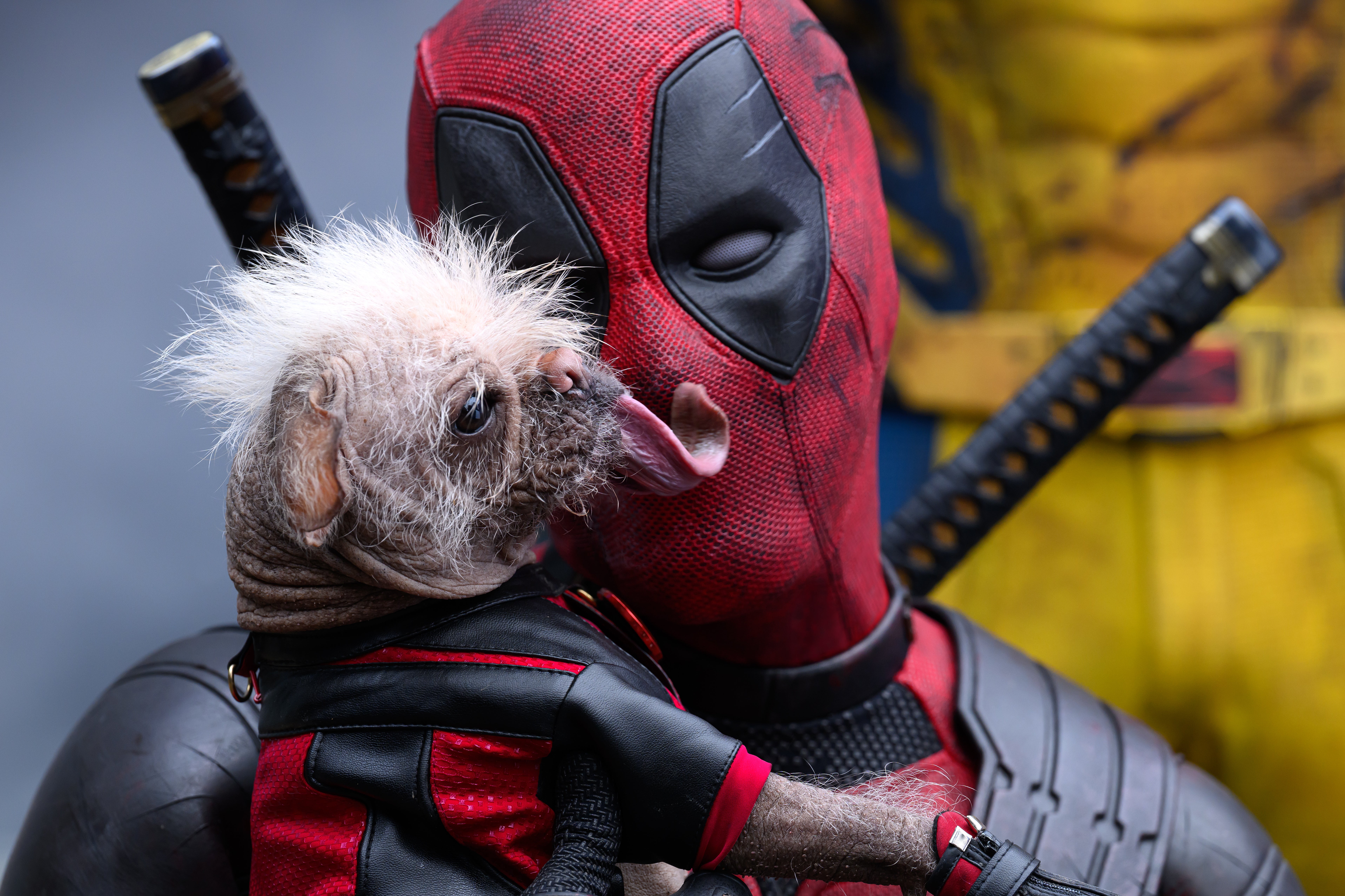 Dog days: Ryan Reynolds as the ‘Merc with the Mouth’ in ‘Deadpool & Wolverine'