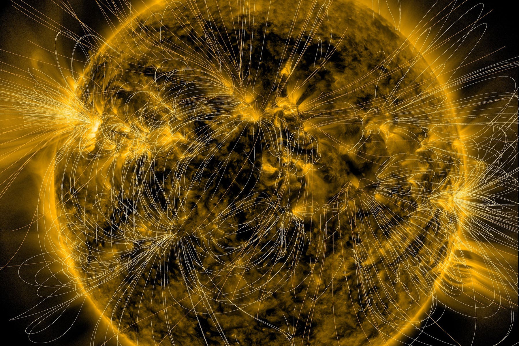 Illustration of the Sun’s magnetic fields over an image captured by Nasa’s Solar Dynamics Observatory (Nasa/SDO/AIA/LMSAL)