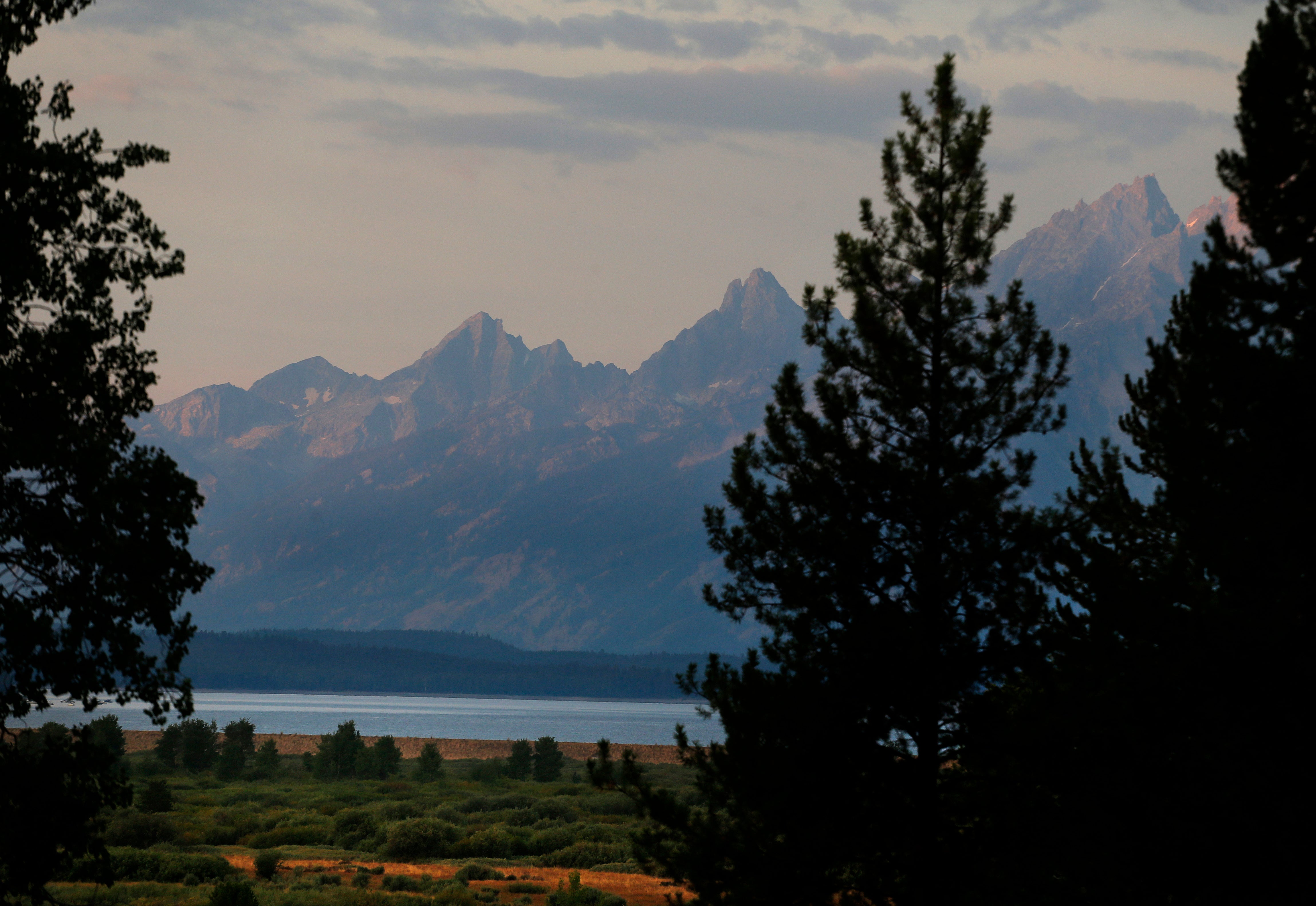 Grand Teton Grizzly Attack