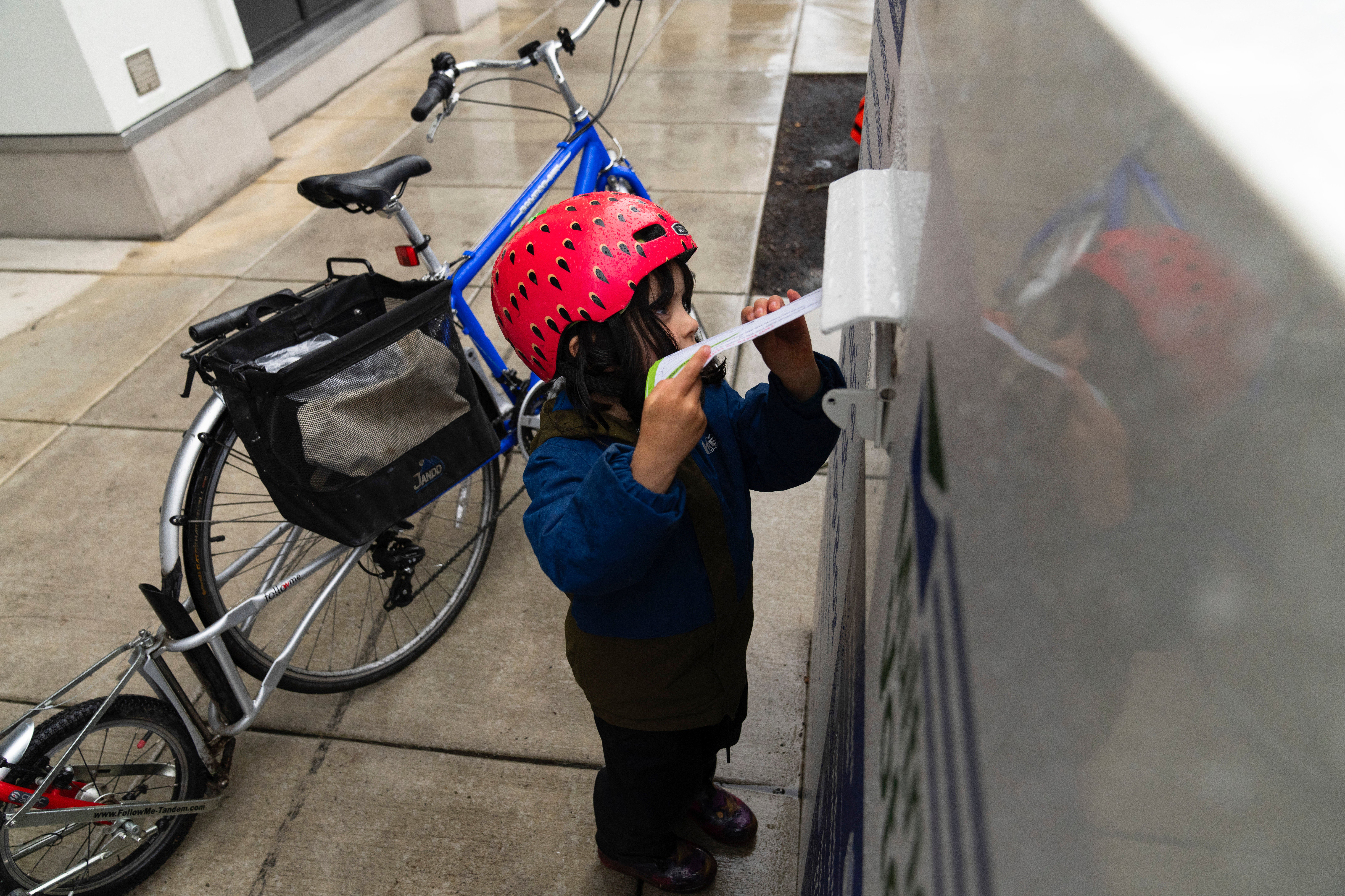 Election 2024 Oregon