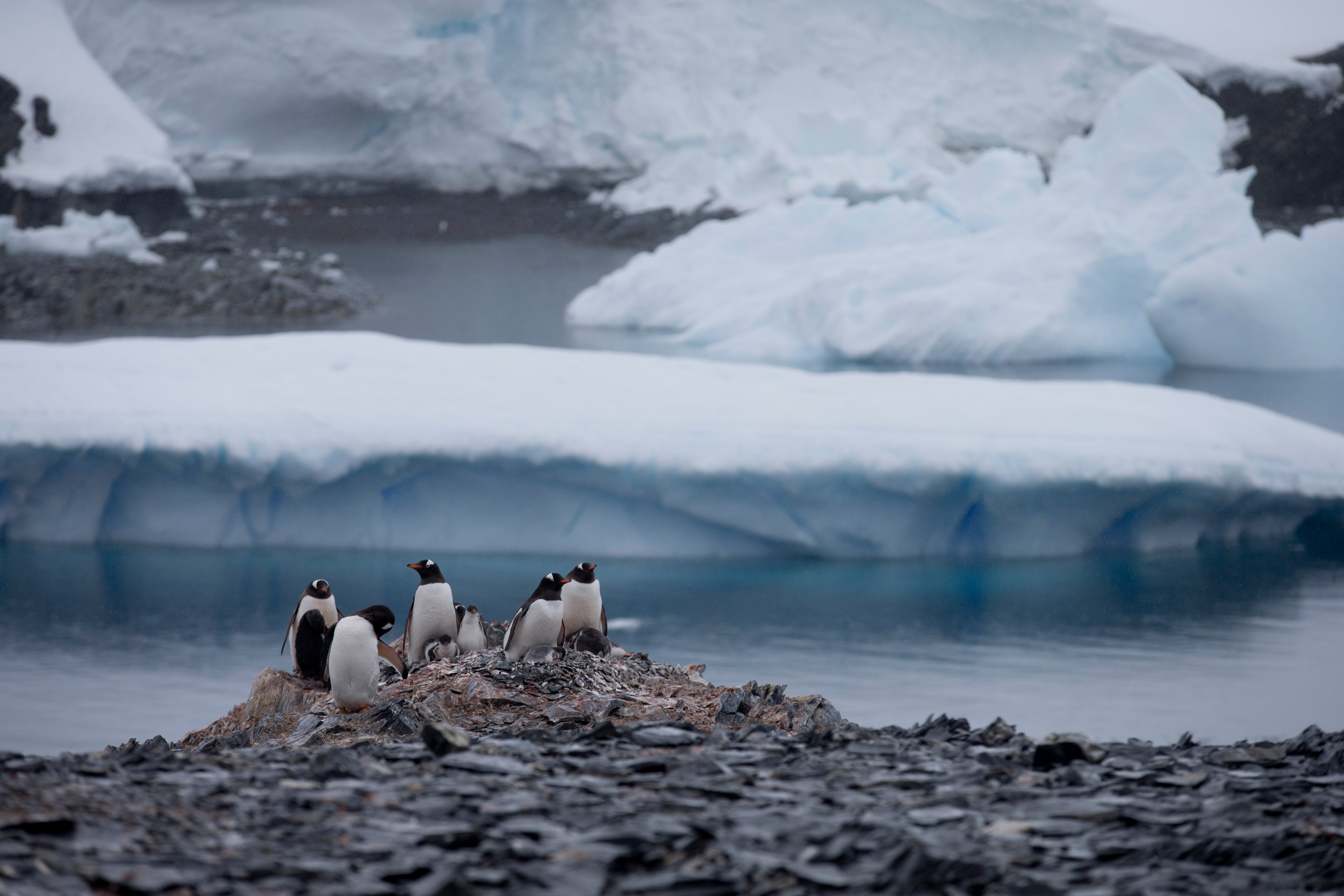 Chile Antarctica