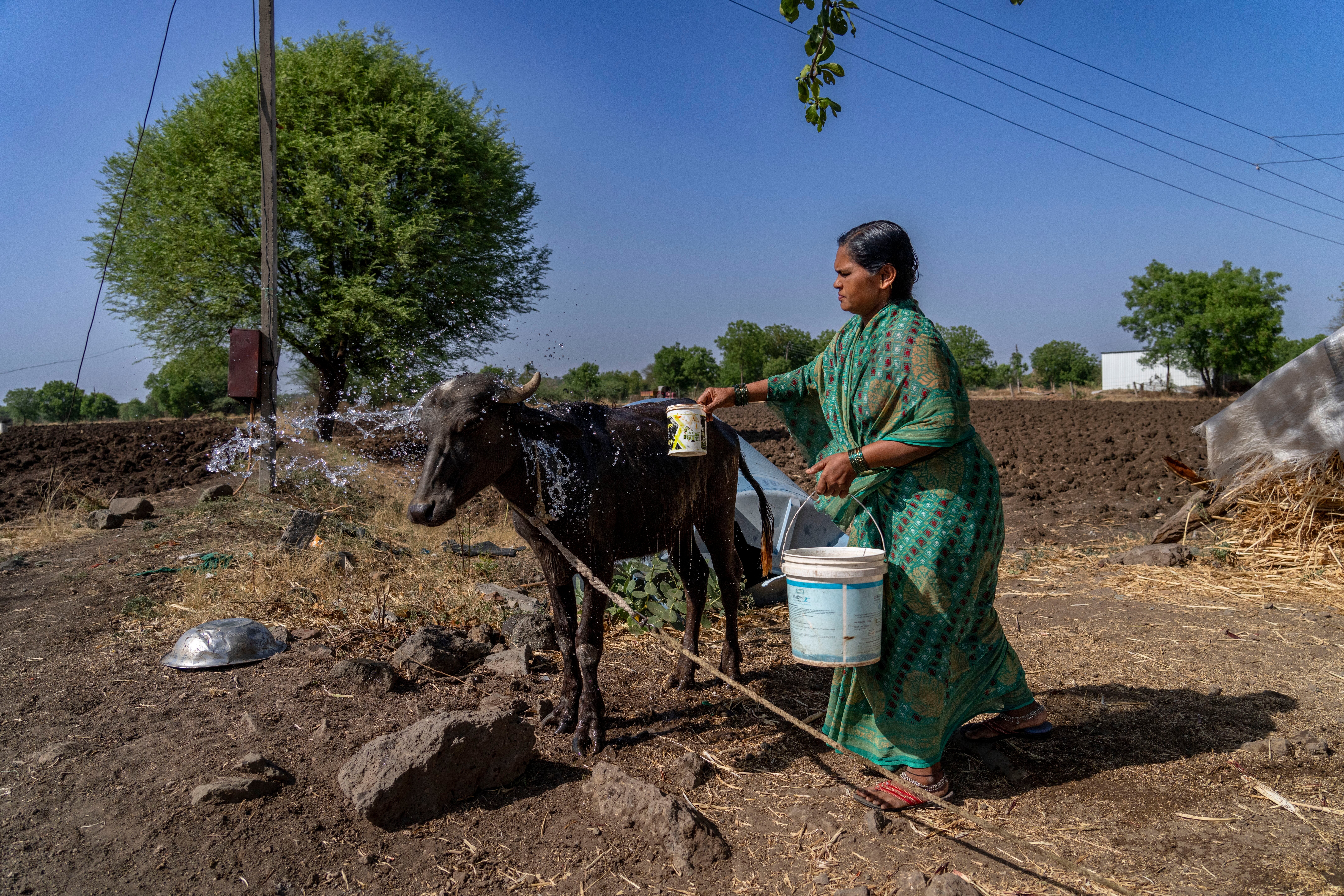 Climate Water India Election