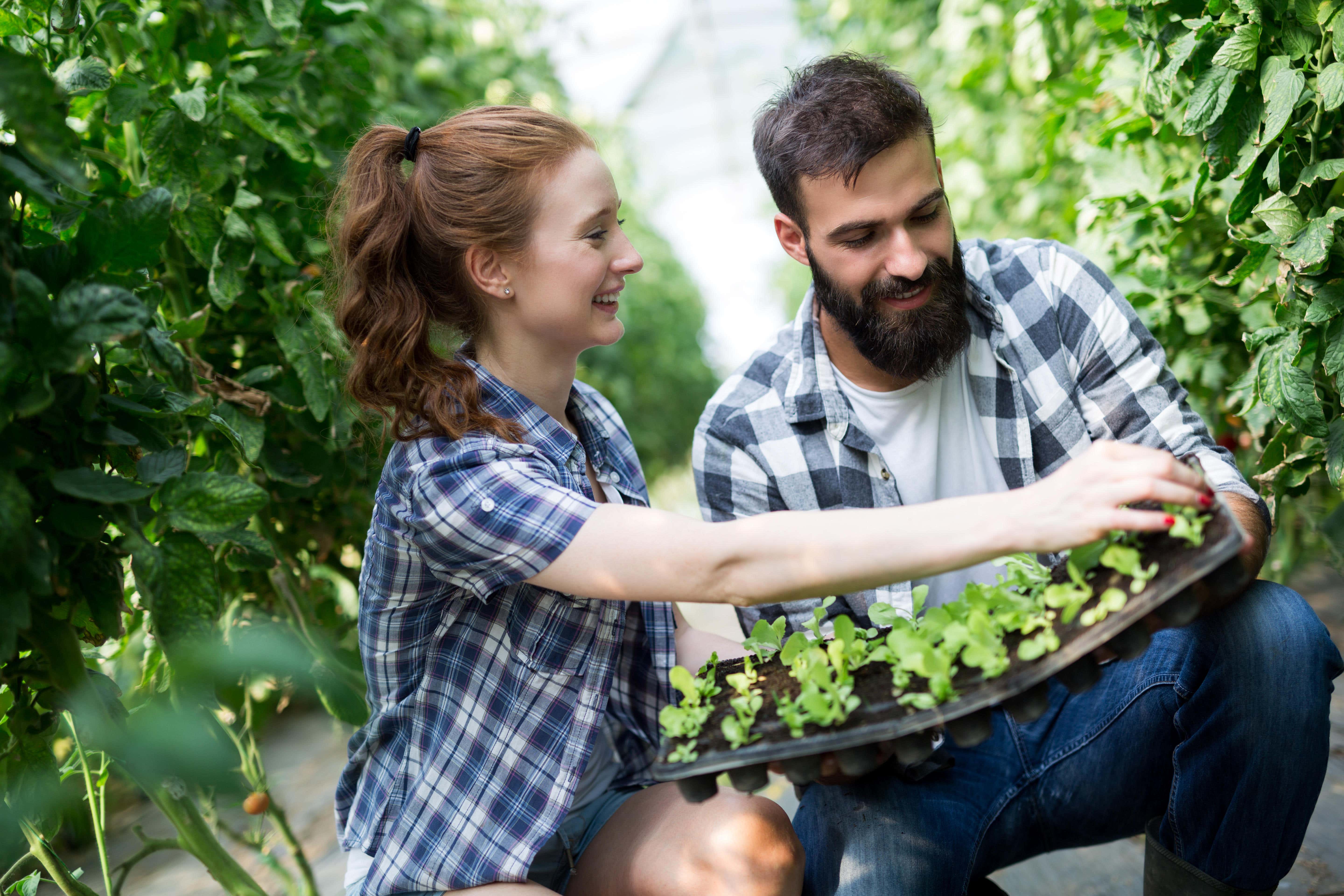 Spruce up your outdoor space on a budget (Alamy/PA)