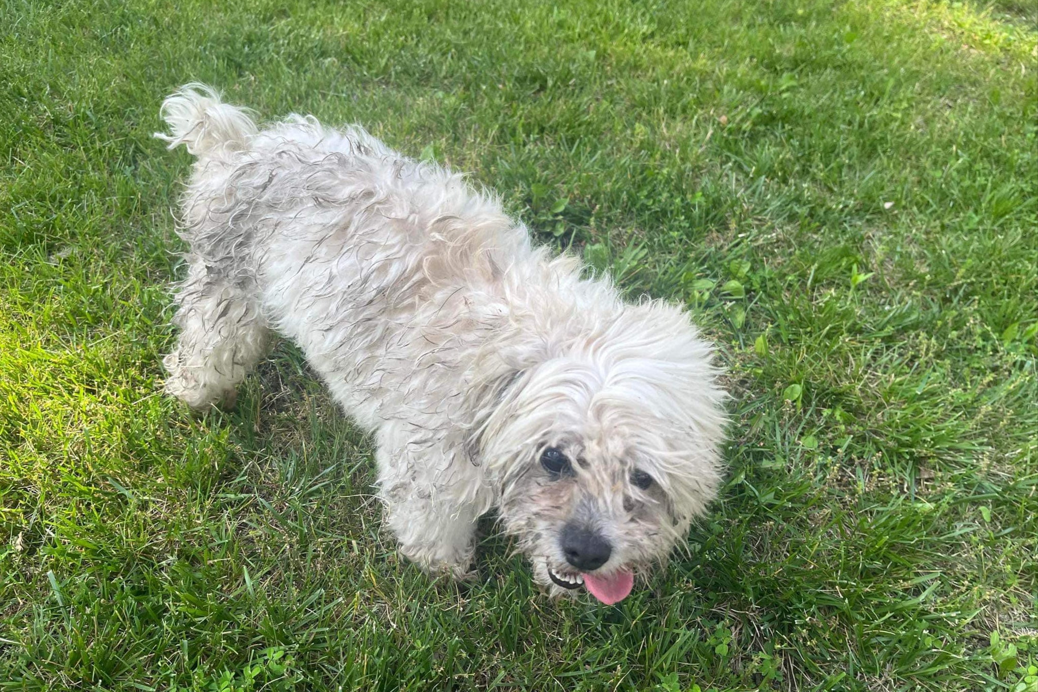 Teddy’s excited behaviour was due to the fact that he was deaf and blind