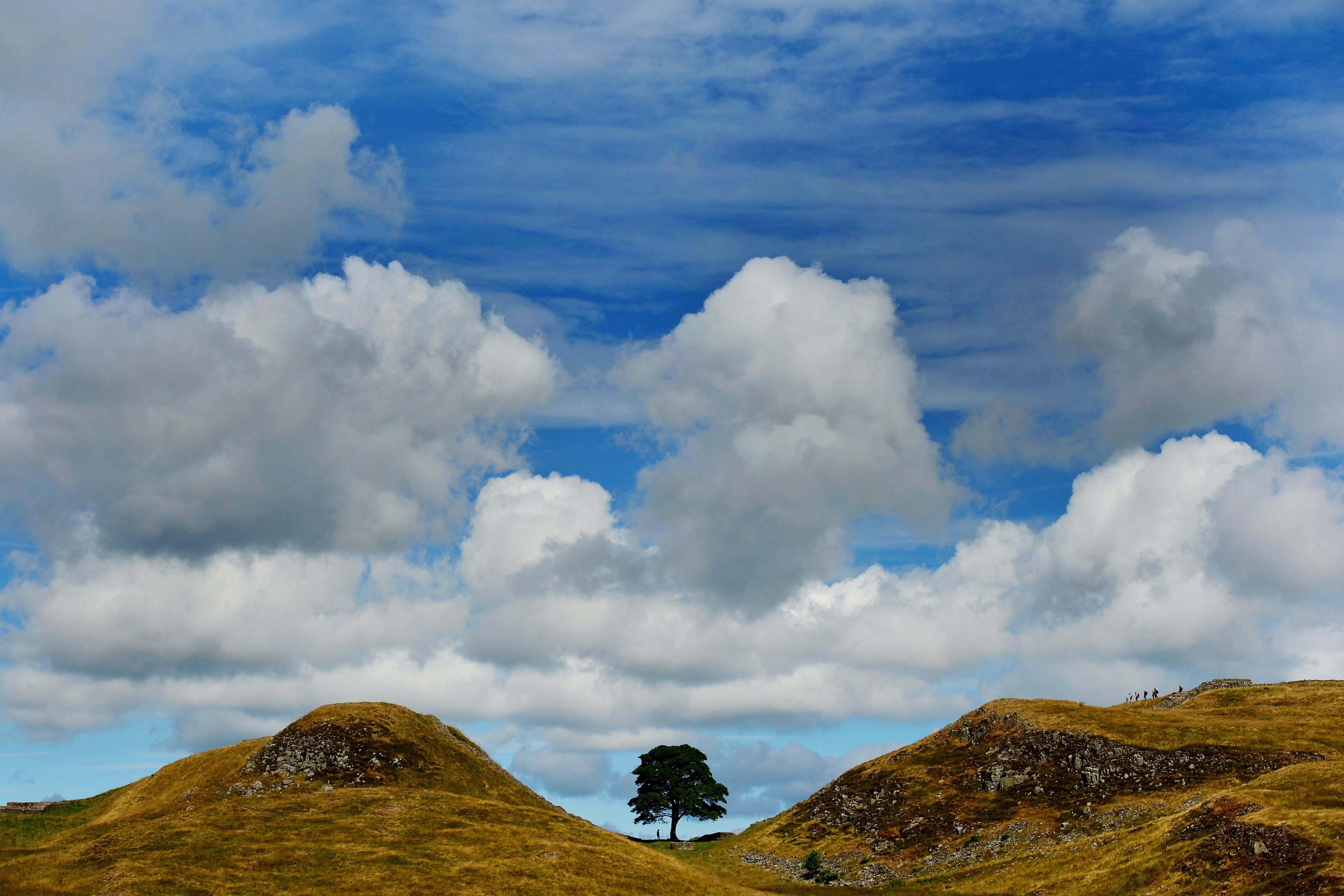 The tree, which stood next to Hadrian’s Wall in Northumberland for 200 years, was chopped down in September last year (Owen Humphreys/PA)