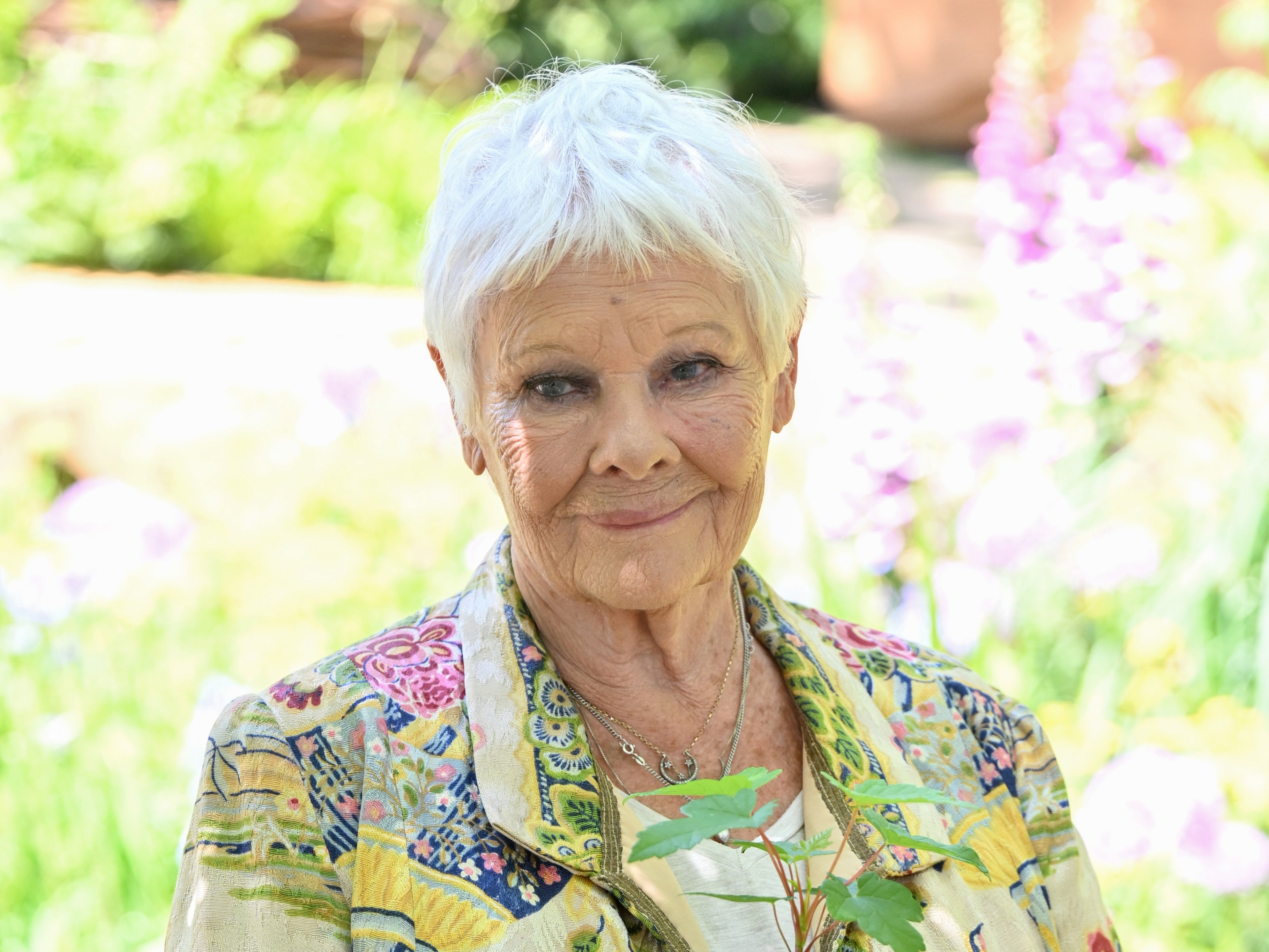 Judi Dench at the Chelsea Flower Show