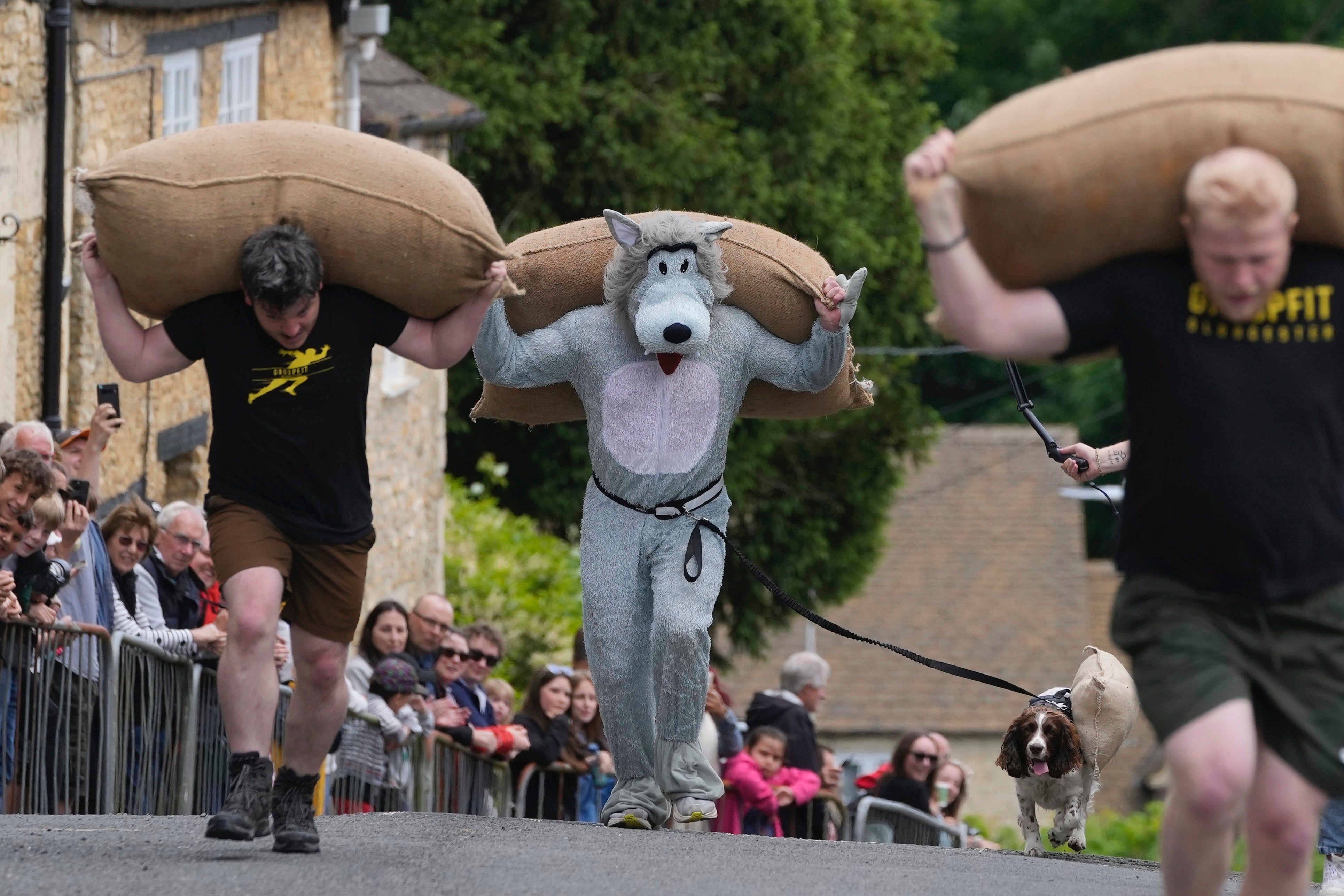 Britain Woolsack Races