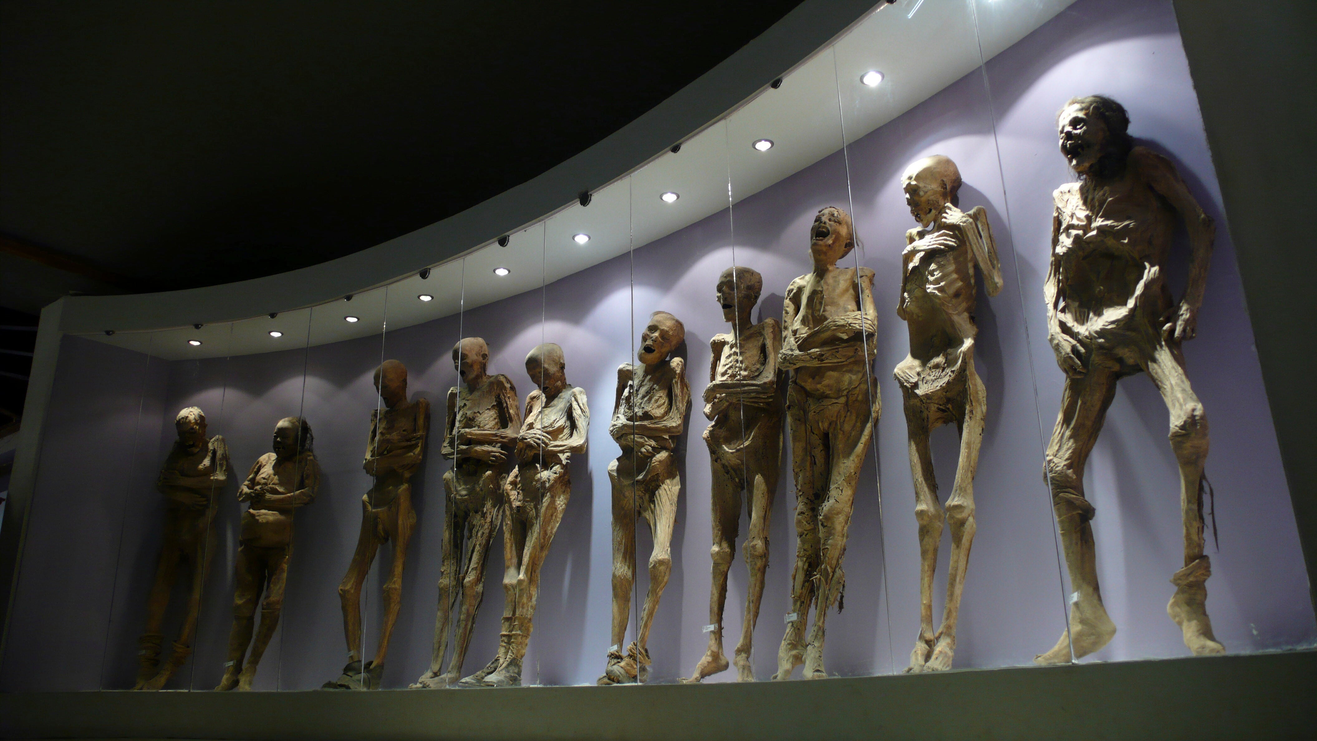 Mummies are displayed in the Mummy Museum in Guanajuato