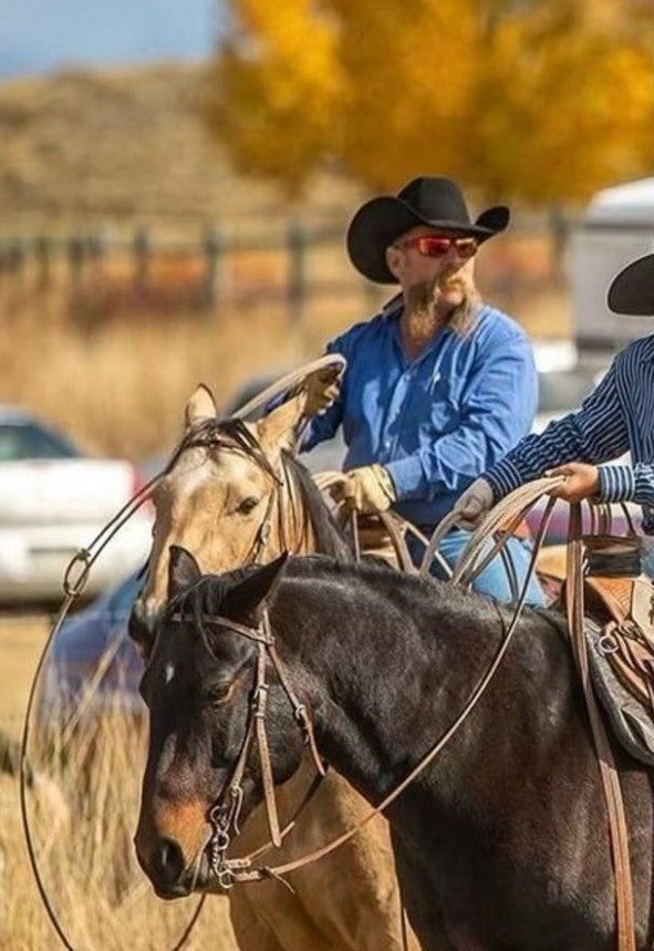 Mike Morgan (pictured) was feeding cattle hay when the bolt hit him and knocked around 100 cows off their feet